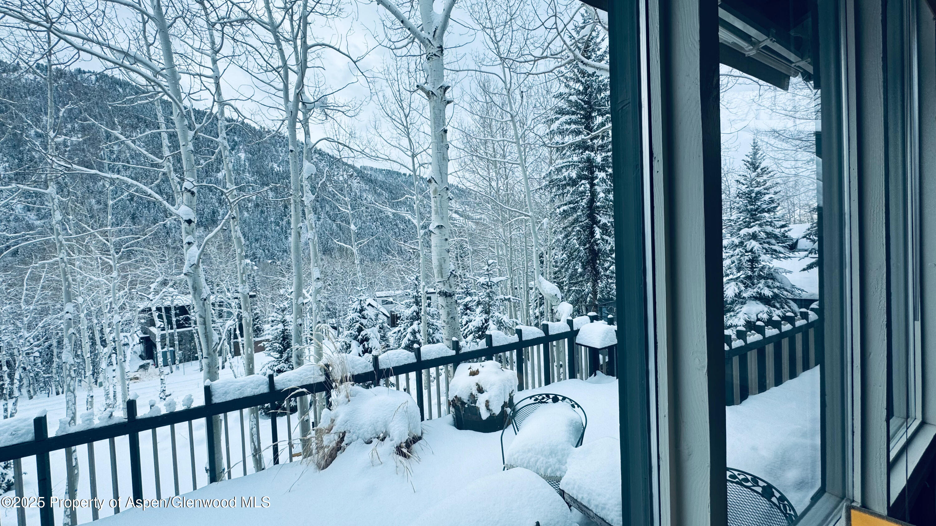 302 Roaring Fork Drive Aspen CO 81611