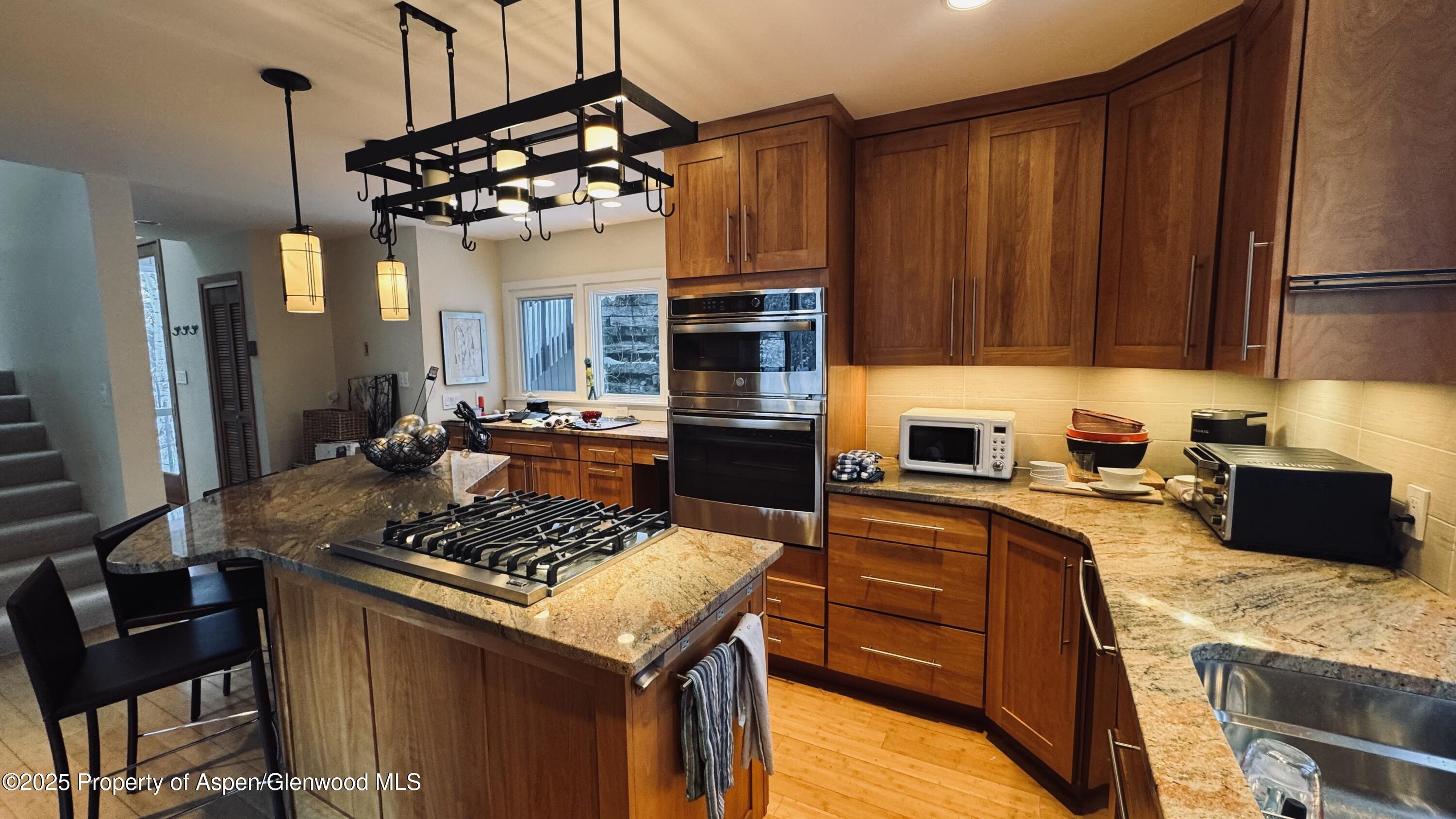 302 Roaring Fork Drive Aspen CO 81611