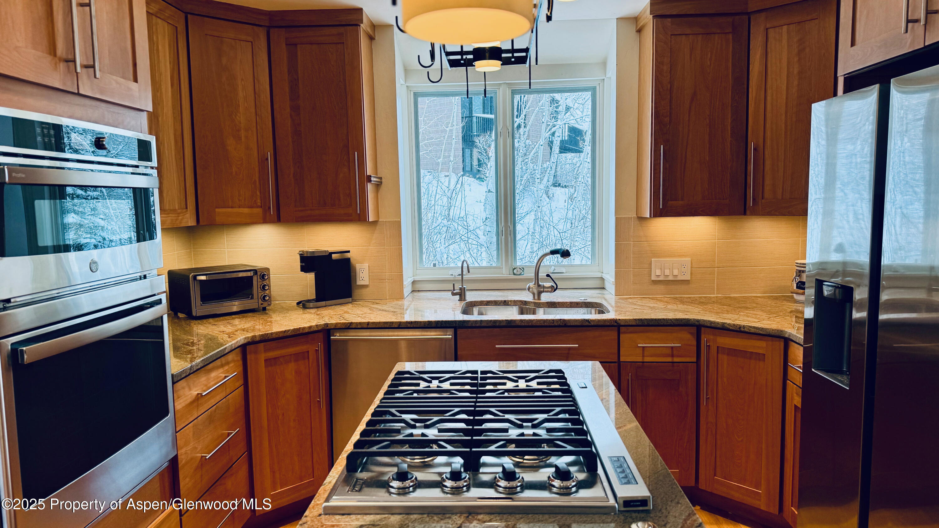 302 Roaring Fork Drive Aspen CO 81611