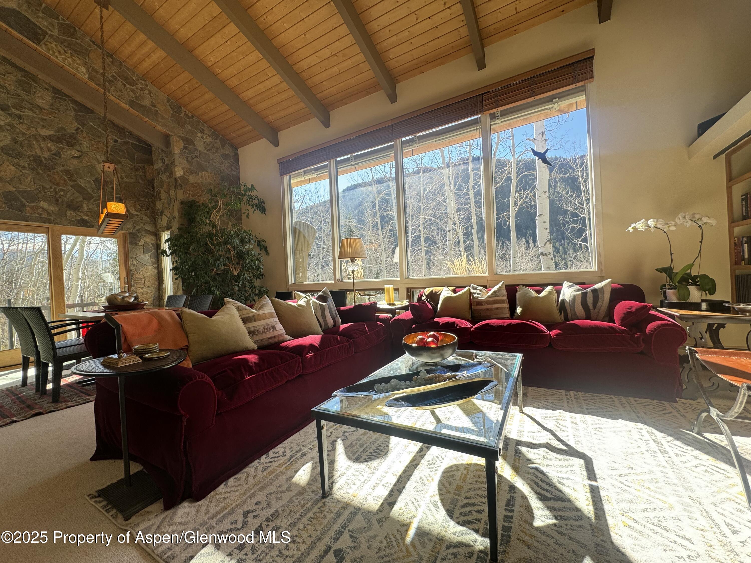 302 Roaring Fork Drive Aspen CO 81611