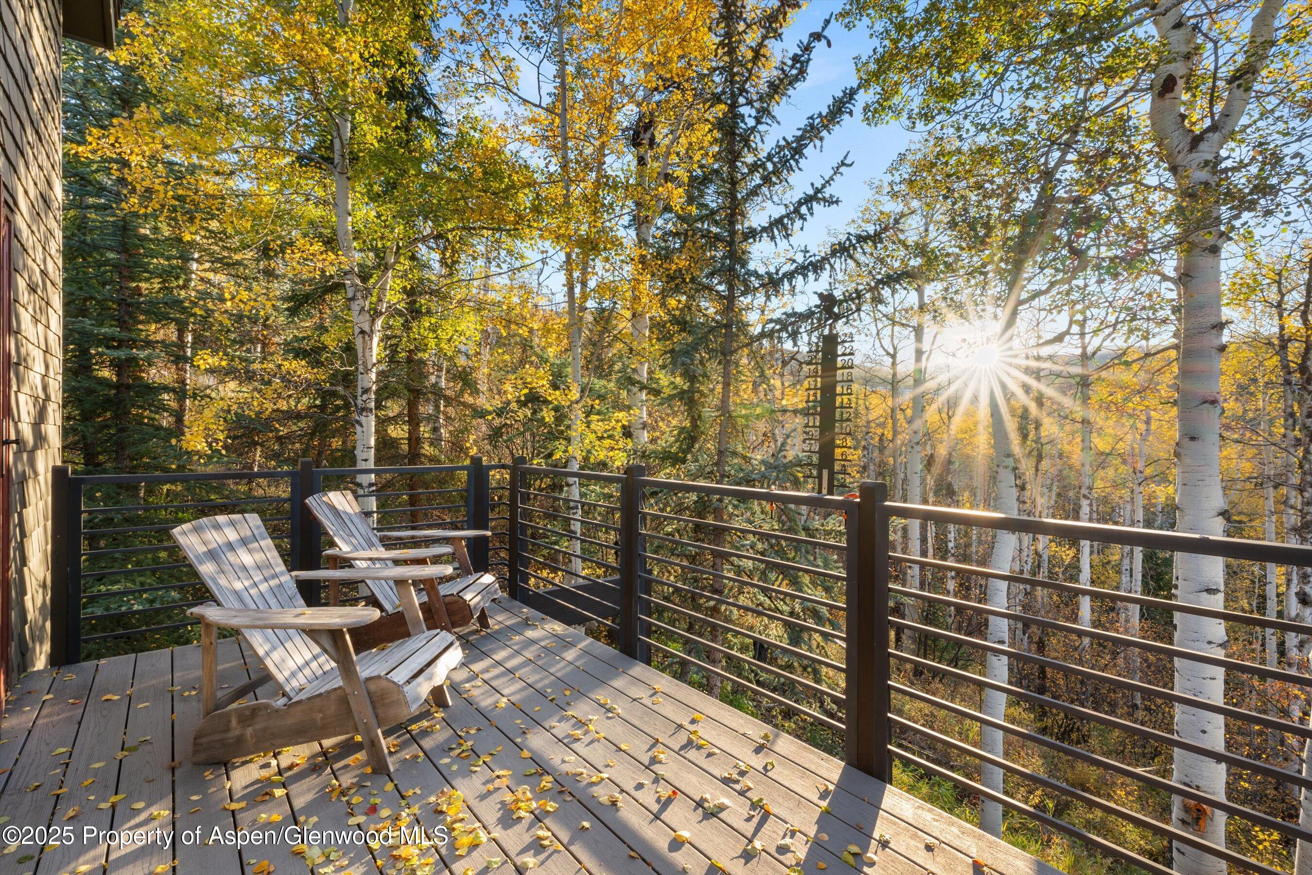 342 Ridge Road Snowmass Village CO 81615