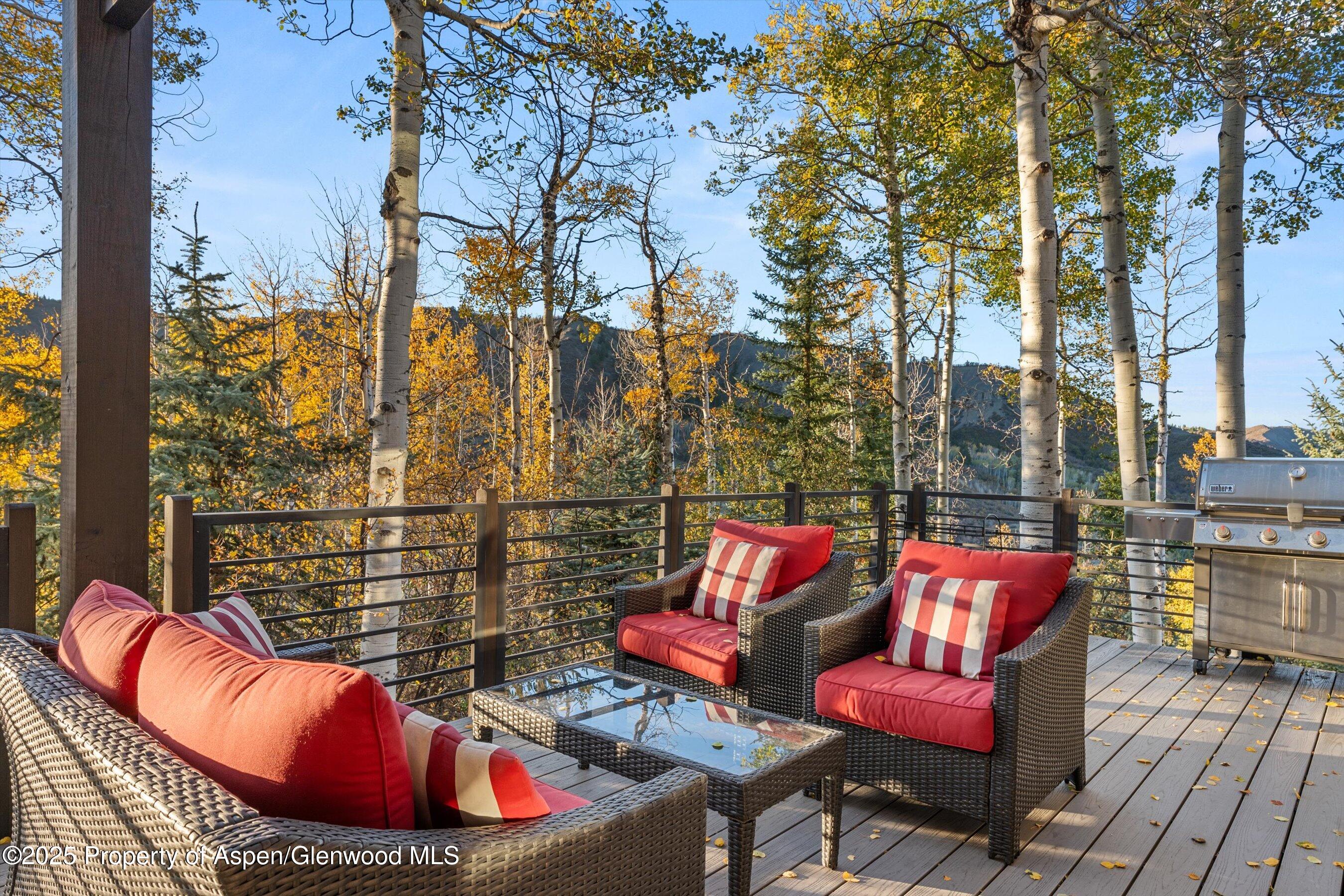 342 Ridge Road Snowmass Village CO 81615