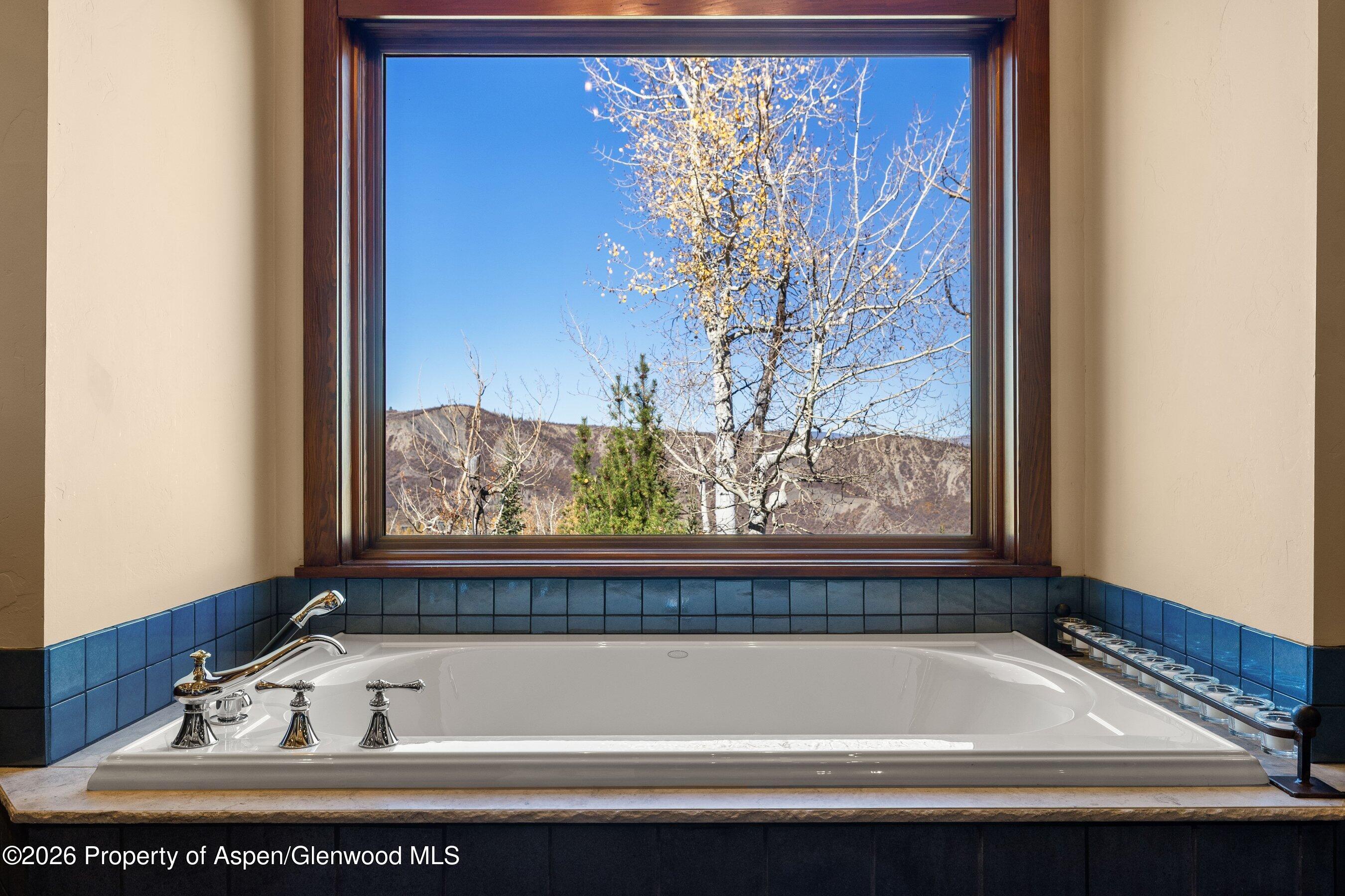 1419 Wood Snowmass Village CO 81615