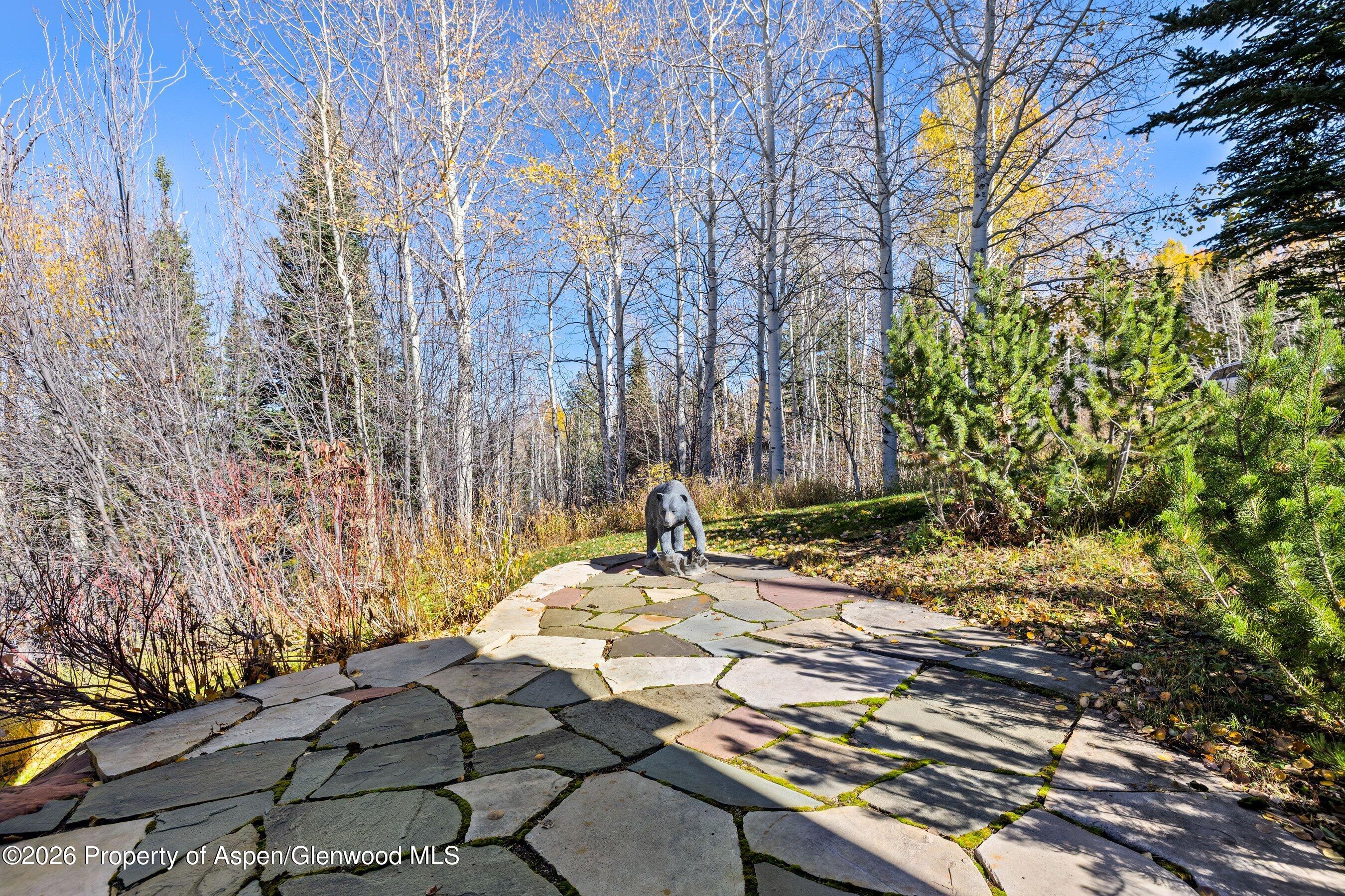 1419 Wood Snowmass Village CO 81615