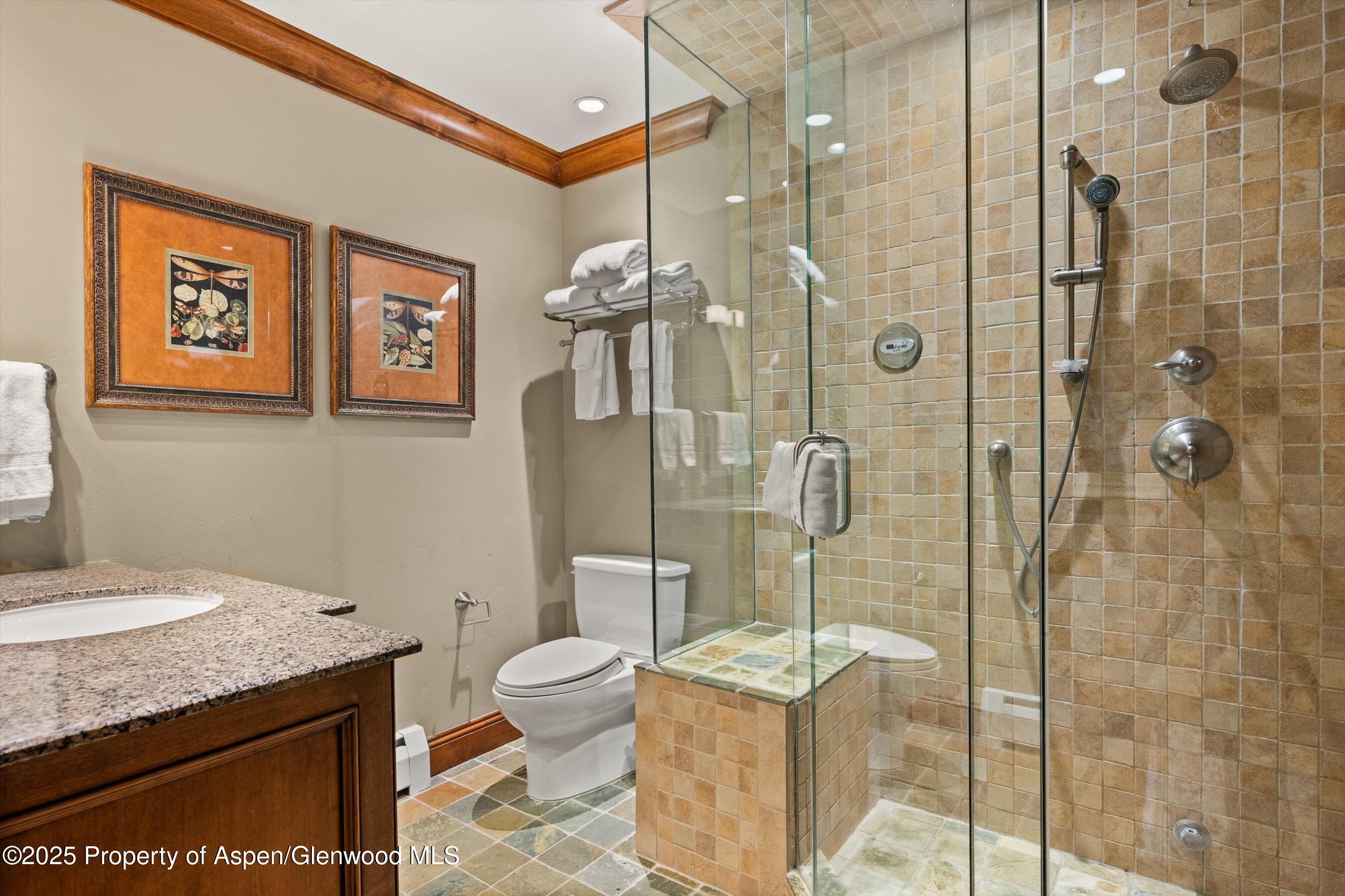 315 S First Street Aspen CO 81611