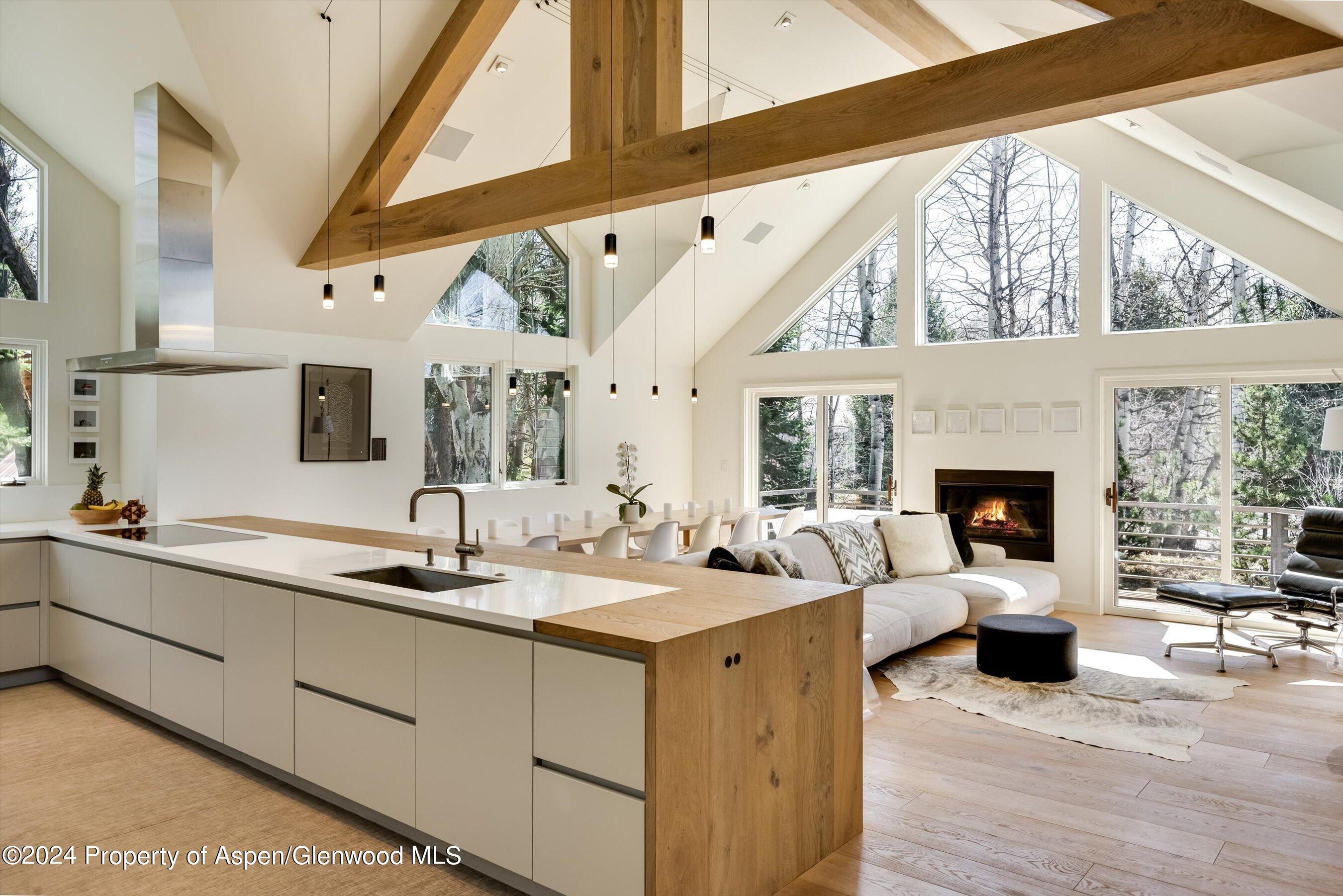 Aspen CO, 725 Castle Creek Drive