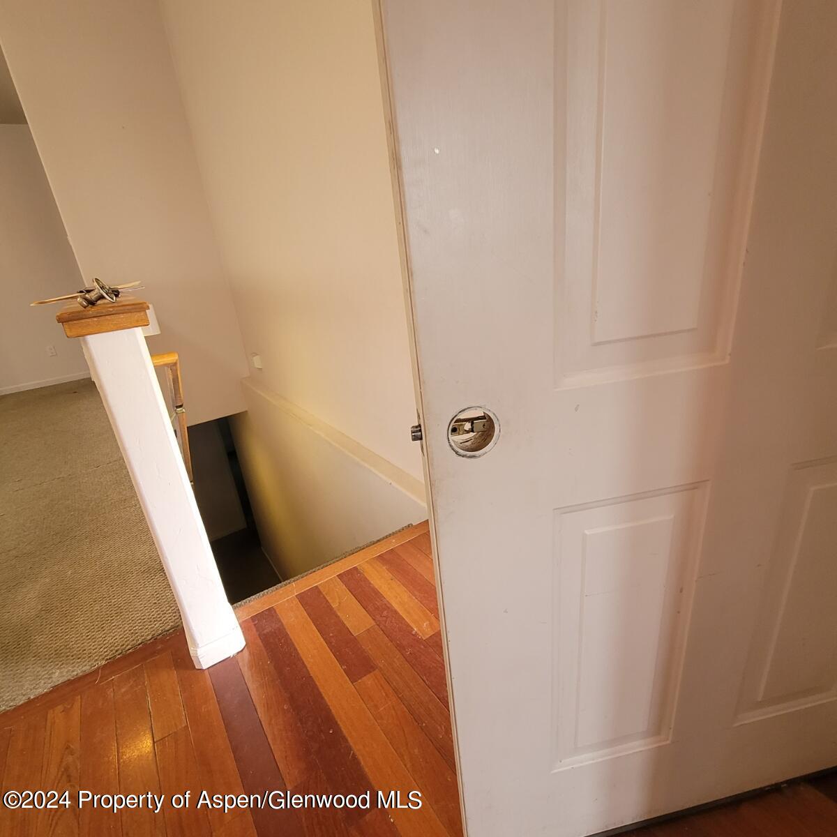 28 Gamba Drive Glenwood Springs CO 81601