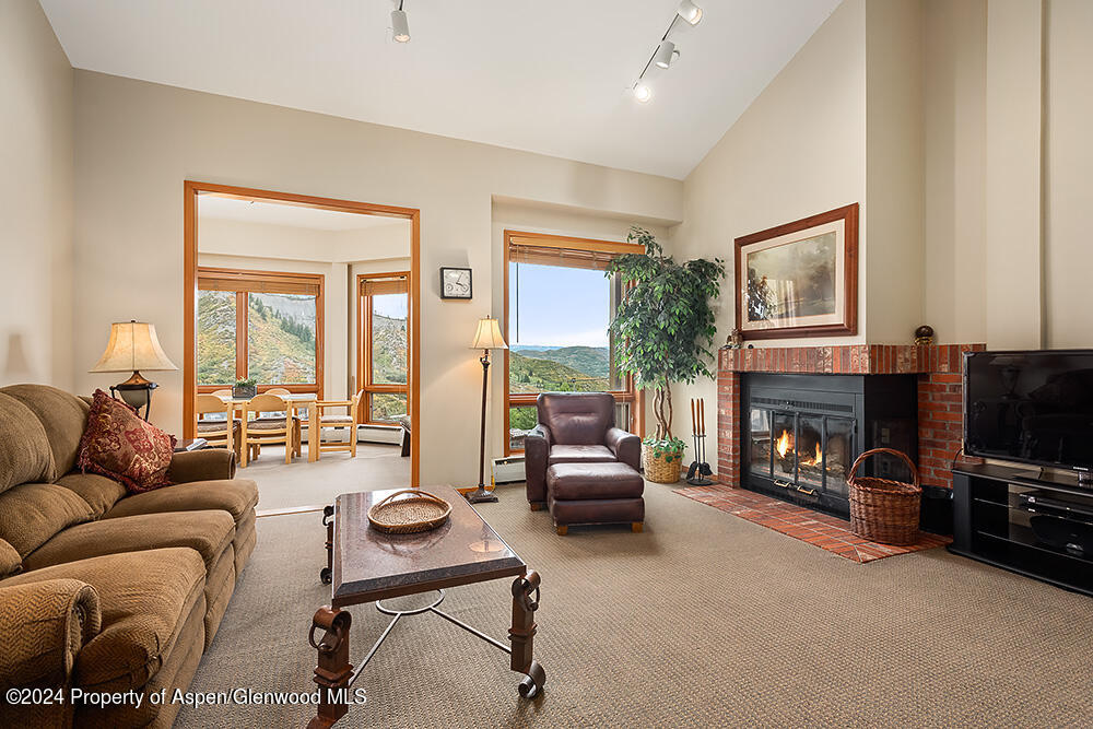 476 Wood Road Snowmass Village CO 81615
