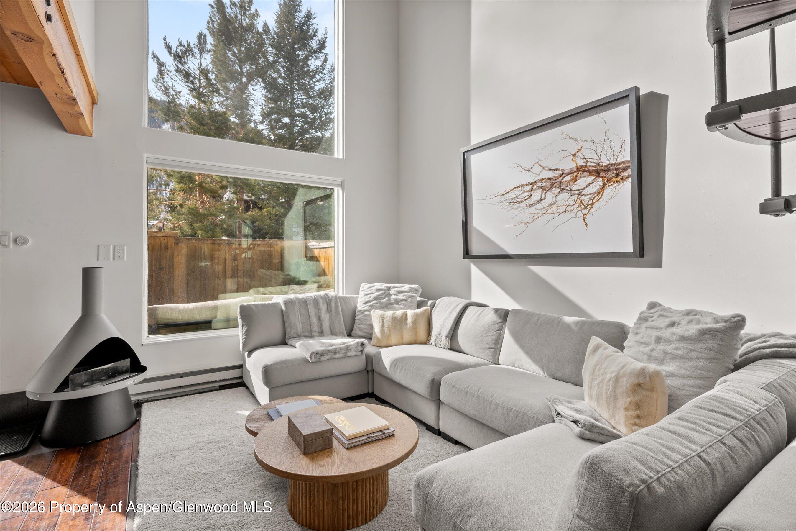 1024 E Cooper Avenue Aspen CO 81611