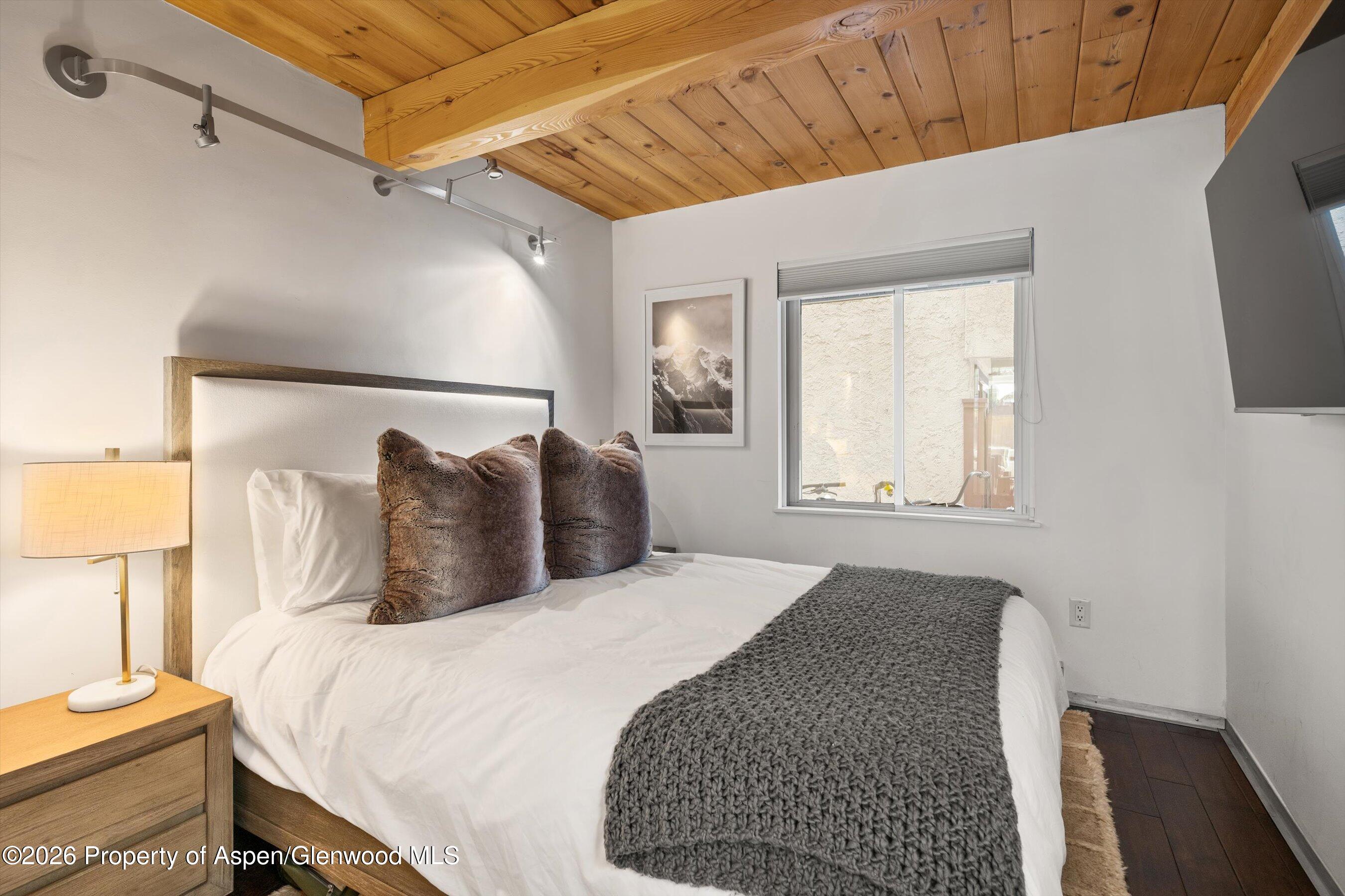 1024 E Cooper Avenue Aspen CO 81611