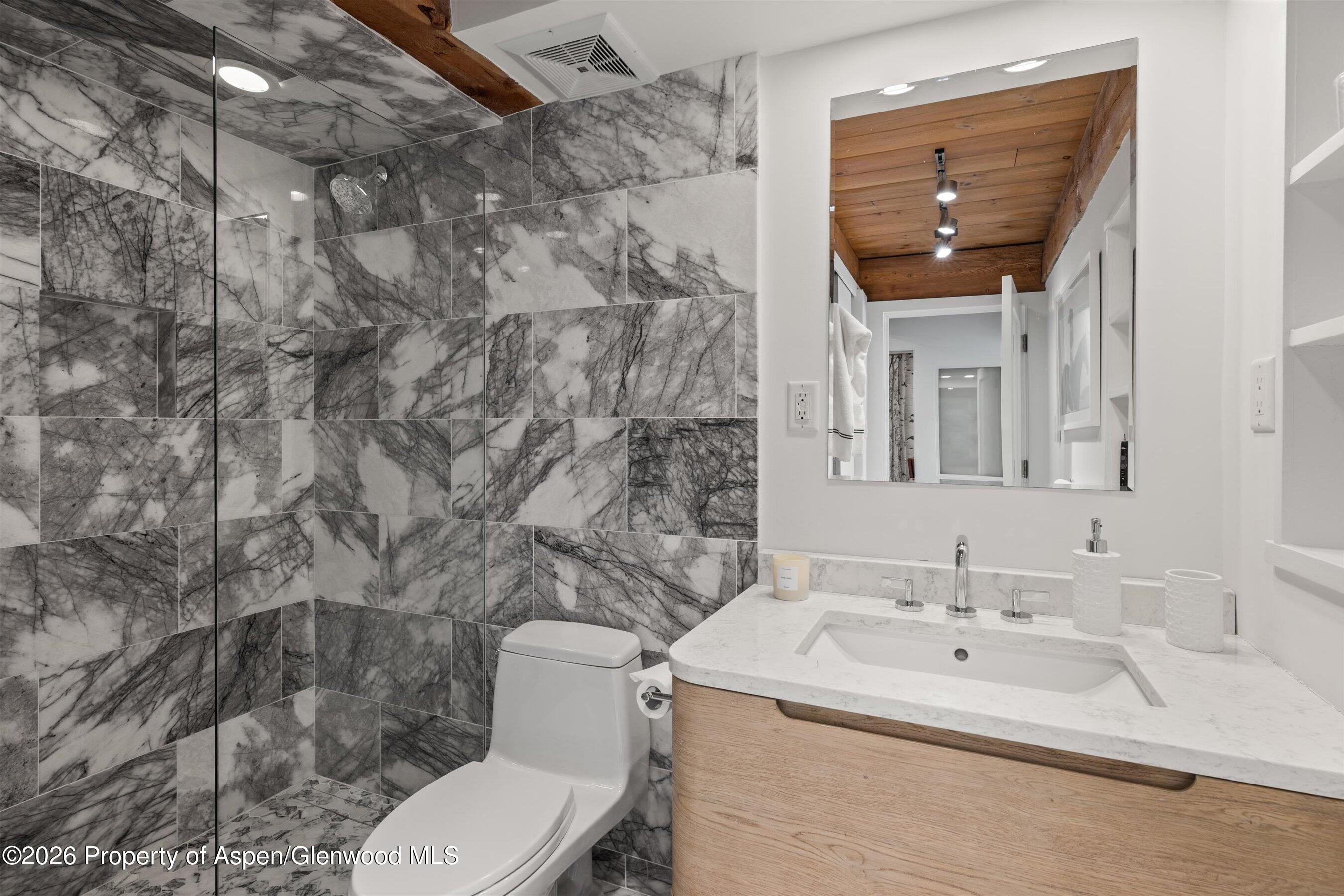 1024 E Cooper Avenue Aspen CO 81611