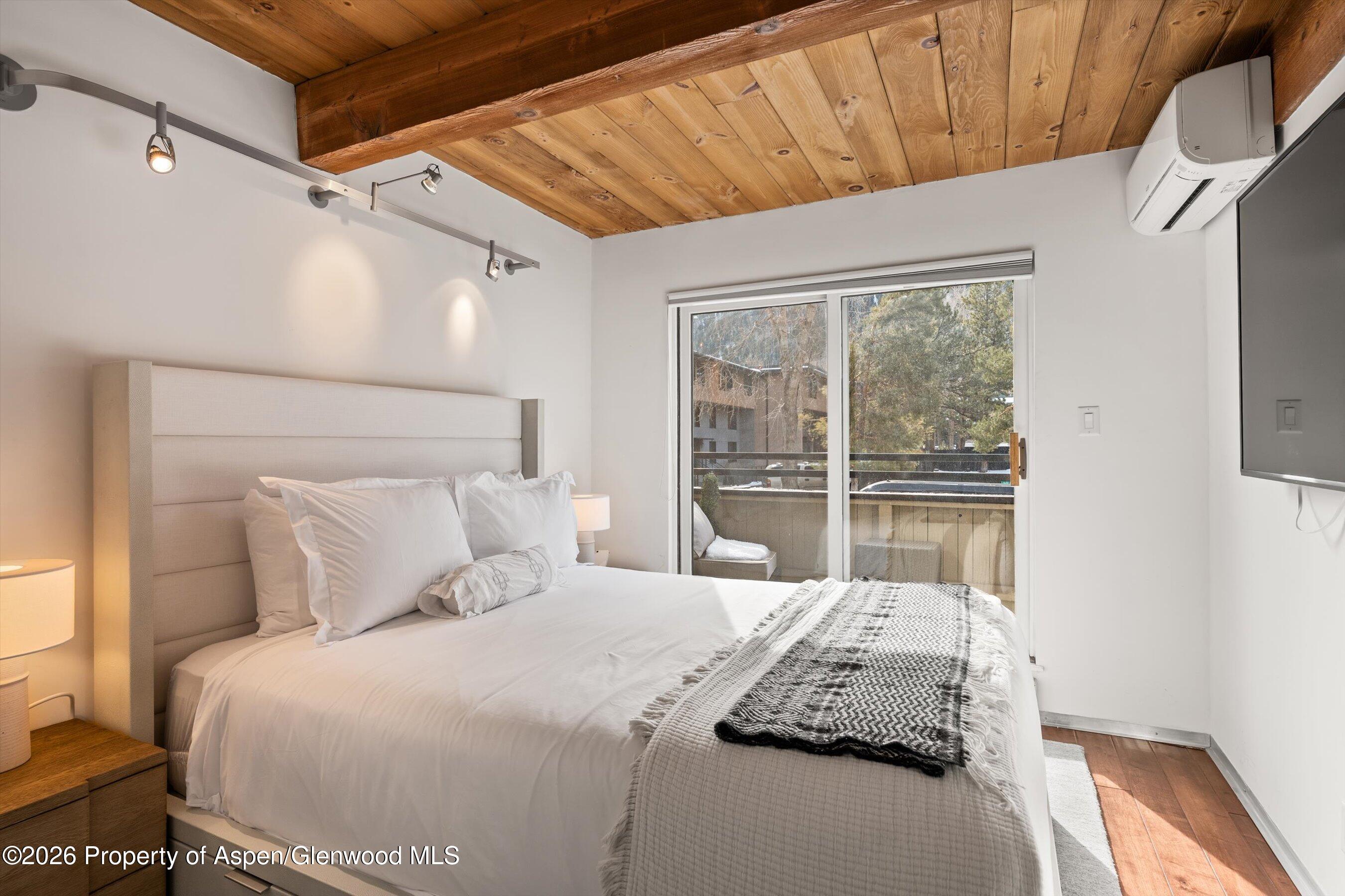 1024 E Cooper Avenue Aspen CO 81611