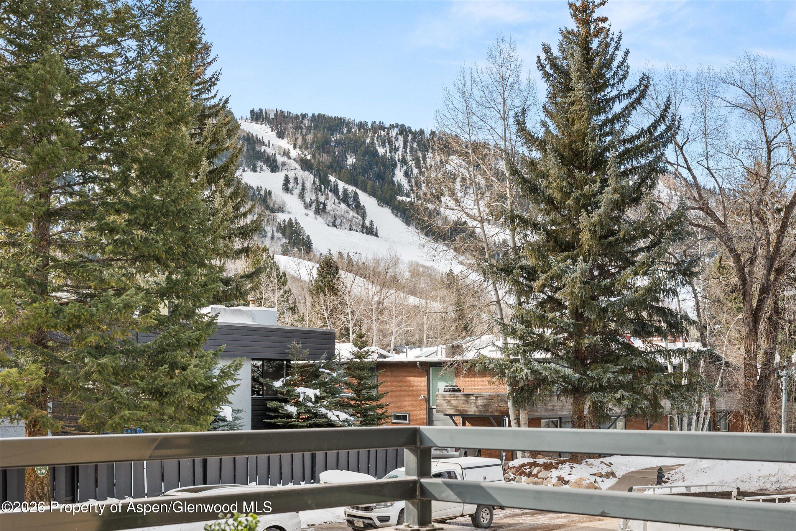 1024 E Cooper Avenue Aspen CO 81611