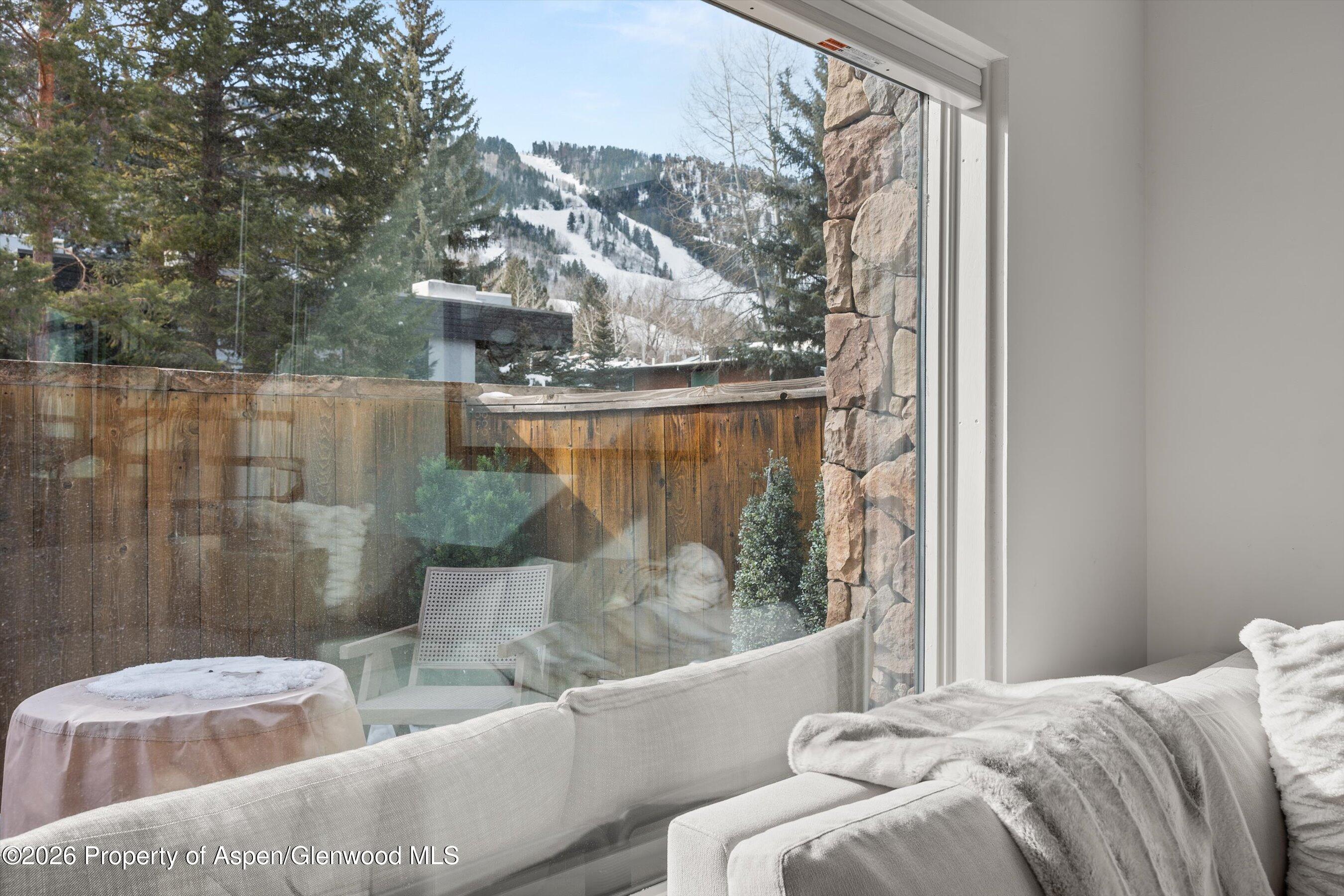 1024 E Cooper Avenue Aspen CO 81611