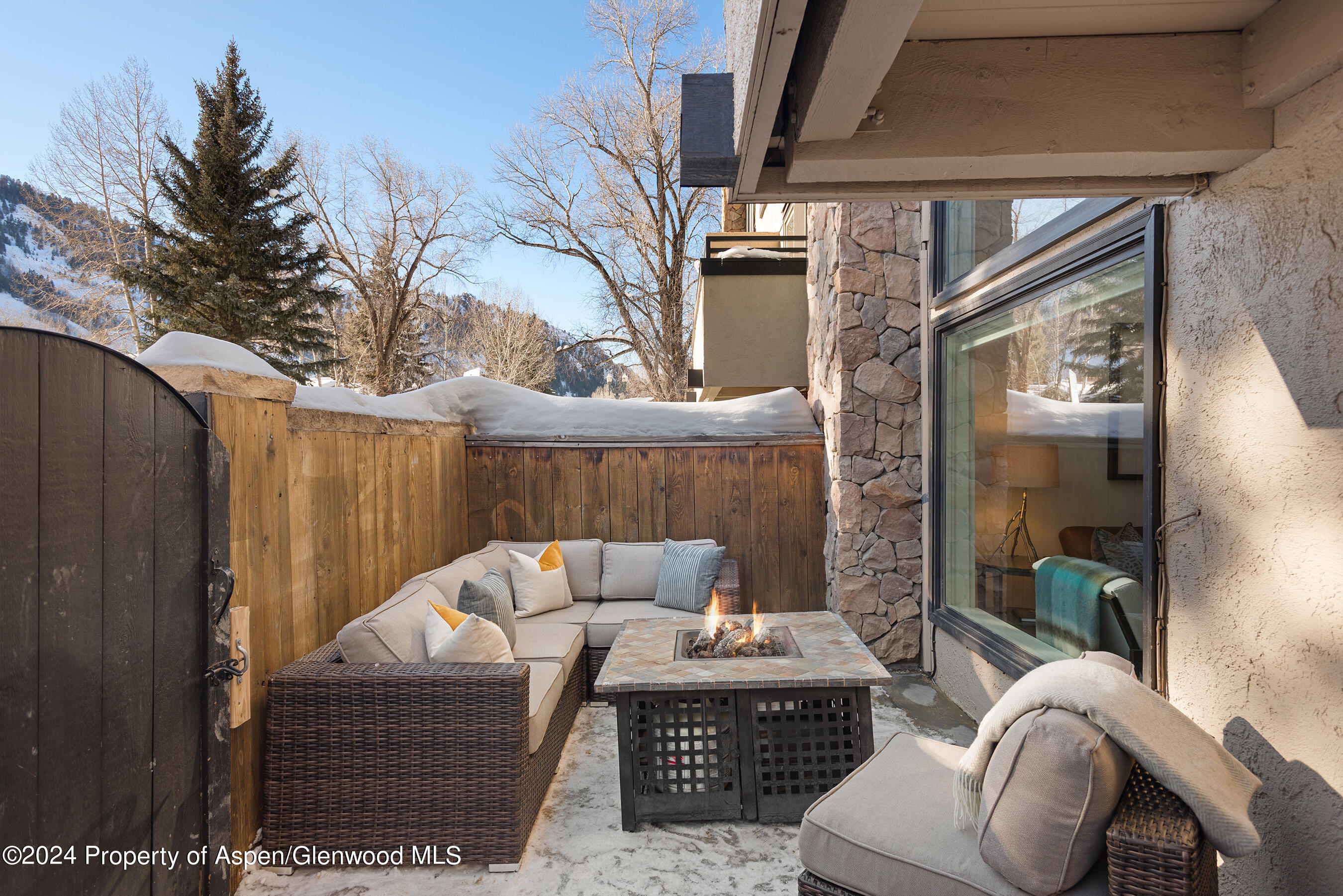 1024 E Cooper Avenue Aspen CO 81611