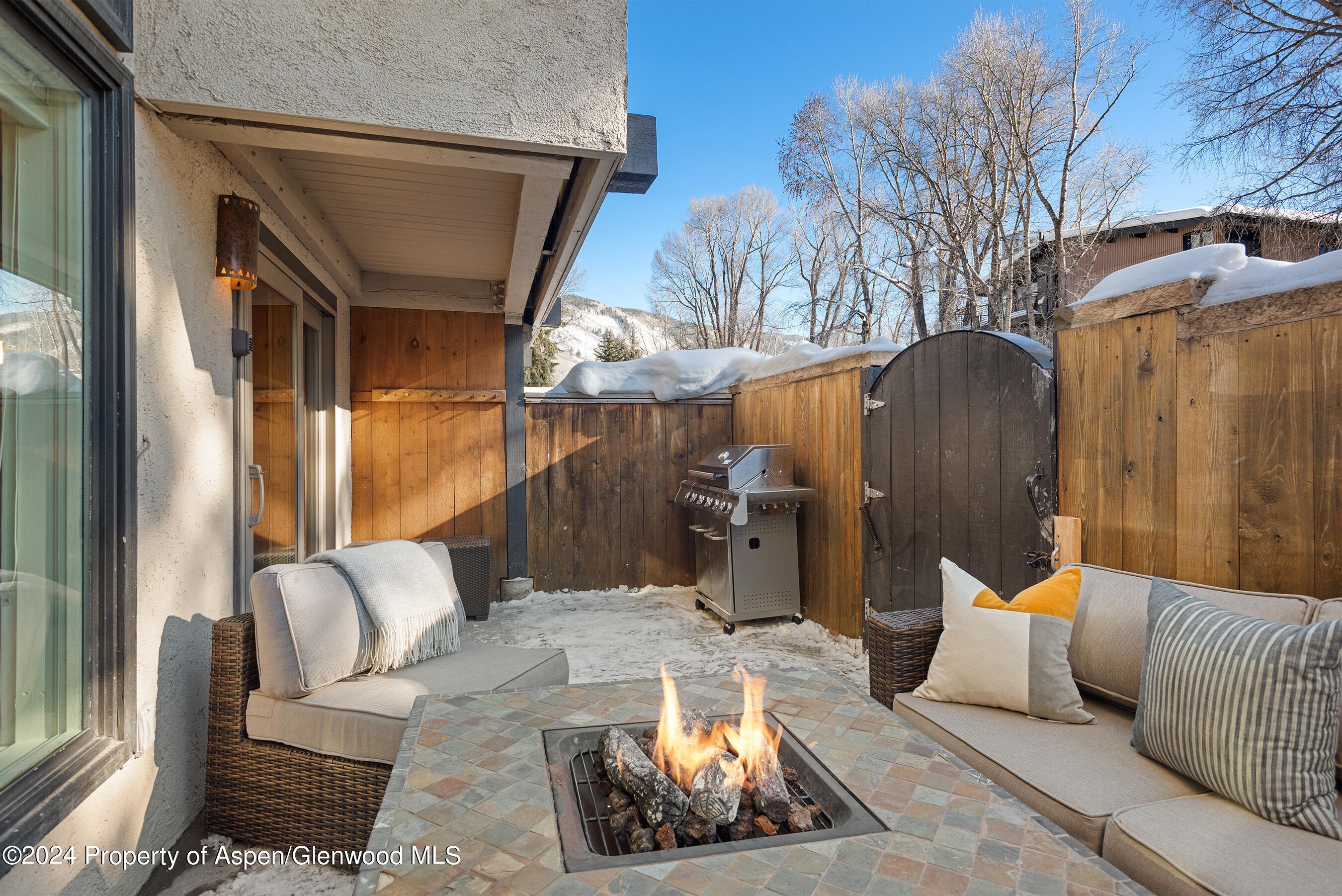 1024 E Cooper Avenue Aspen CO 81611