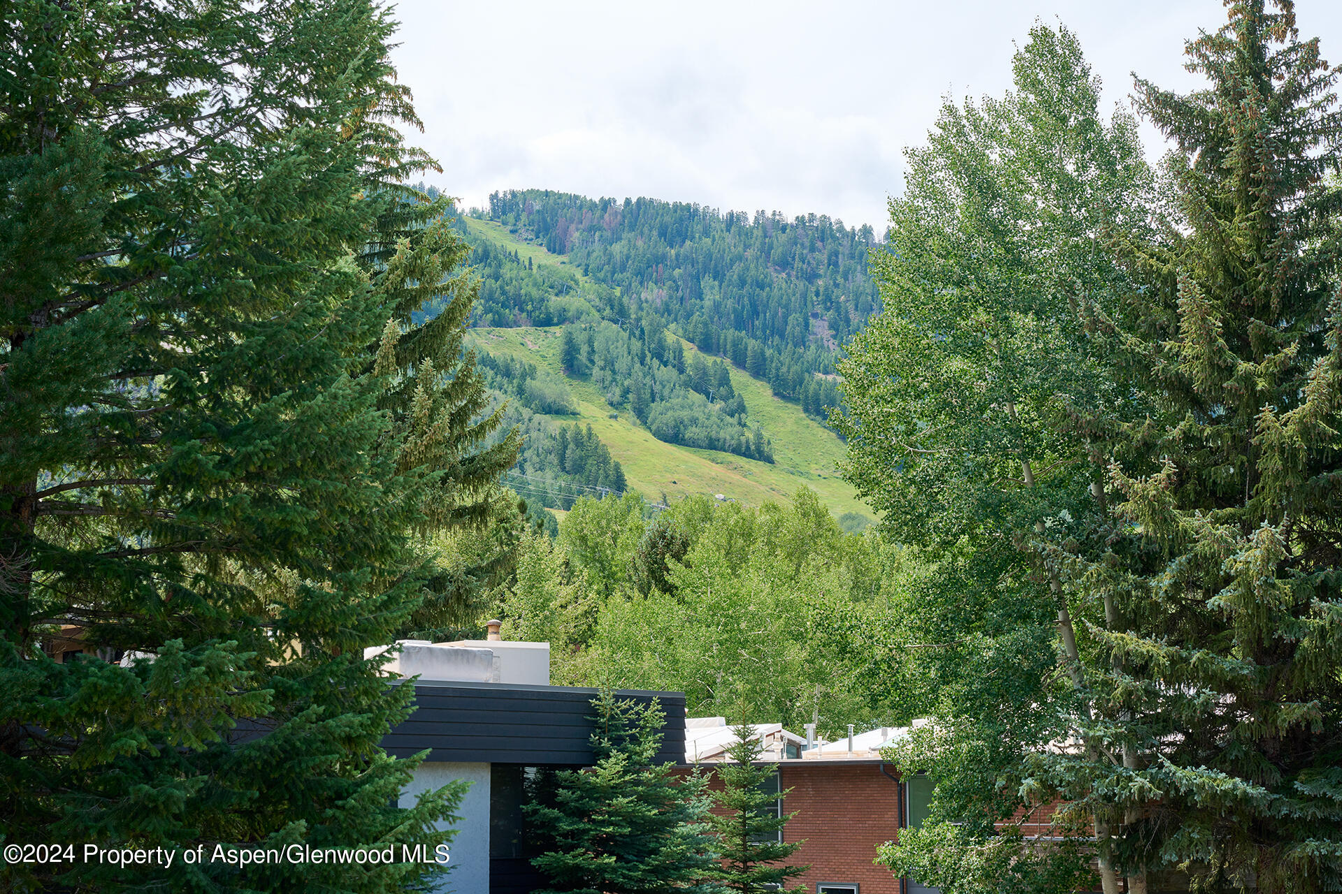 1024 E Cooper Avenue Aspen CO 81611