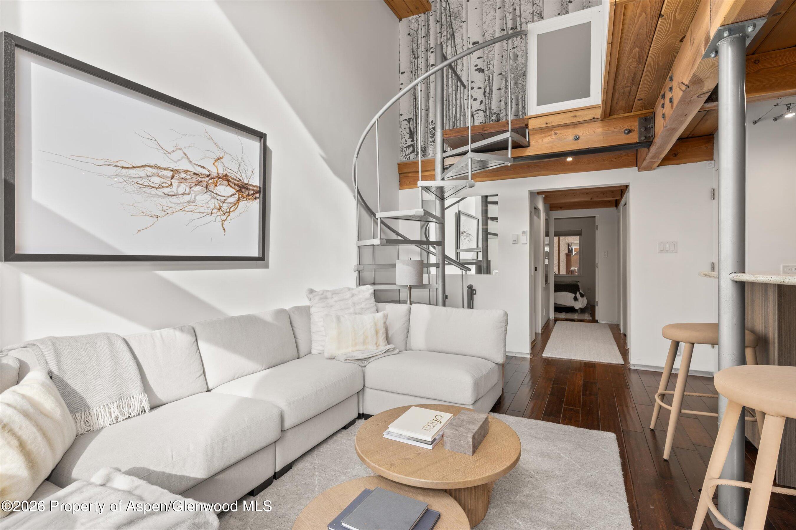1024 E Cooper Avenue Aspen CO 81611