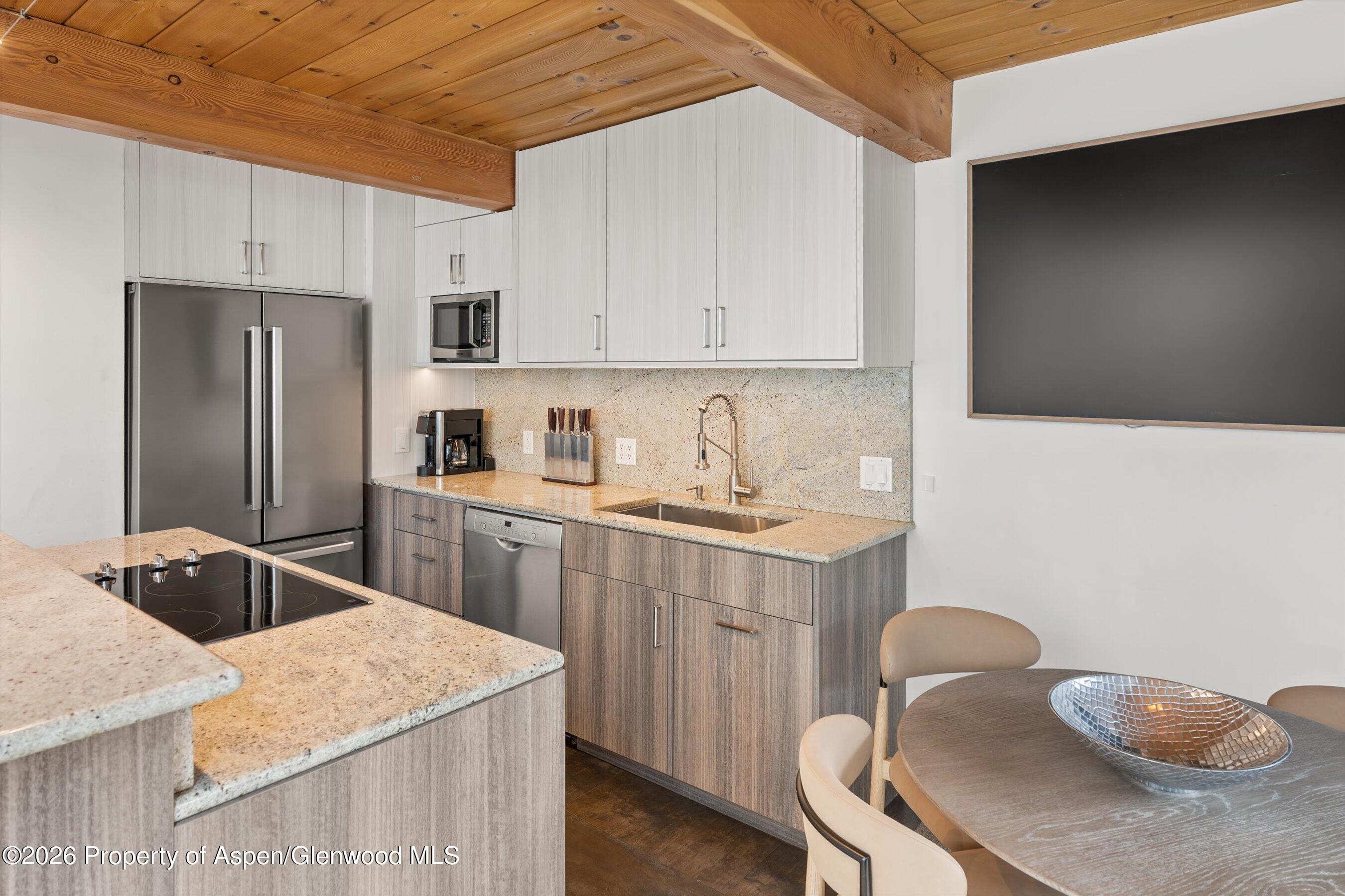 1024 E Cooper Avenue Aspen CO 81611