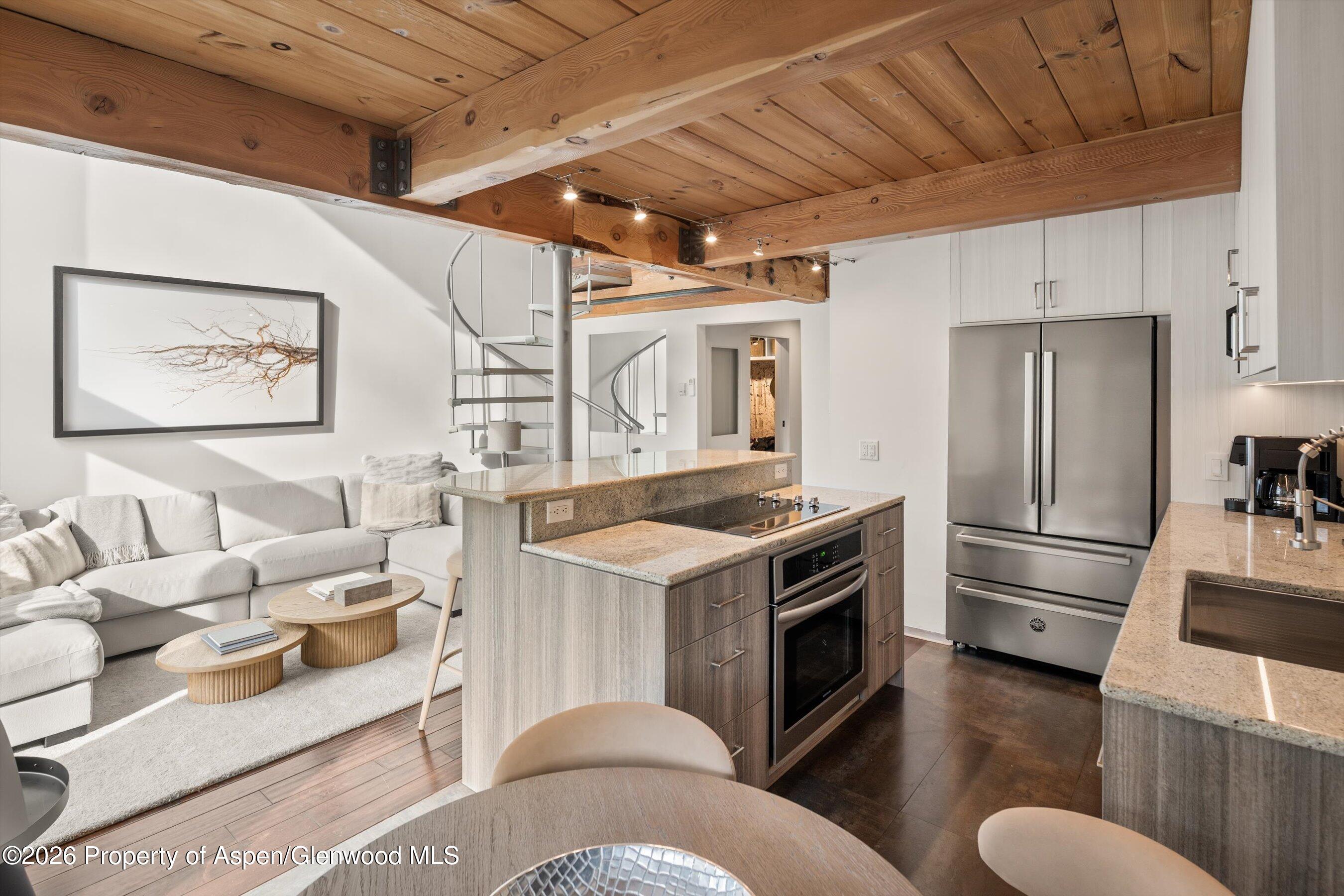 1024 E Cooper Avenue Aspen CO 81611