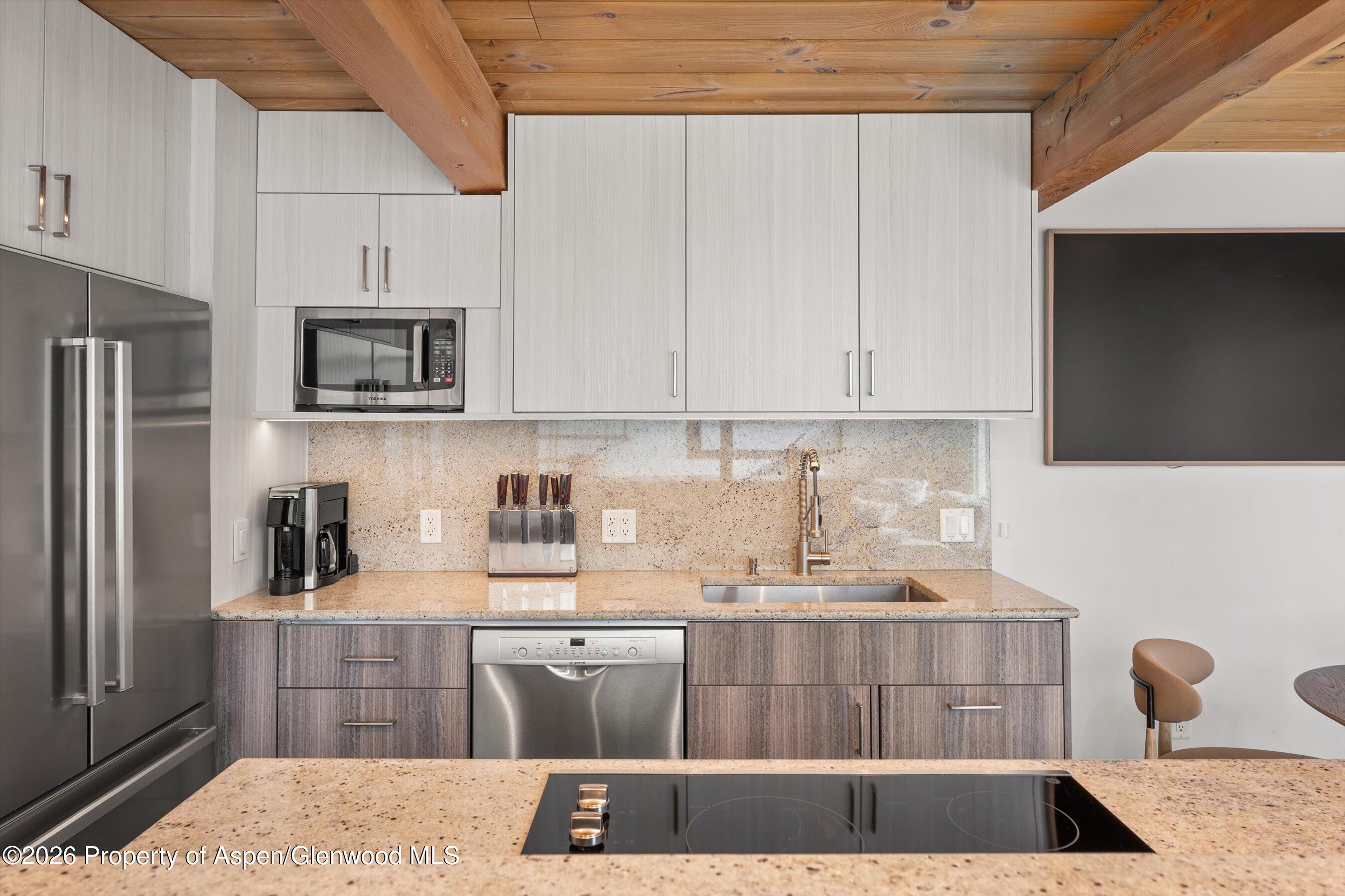 1024 E Cooper Avenue Aspen CO 81611