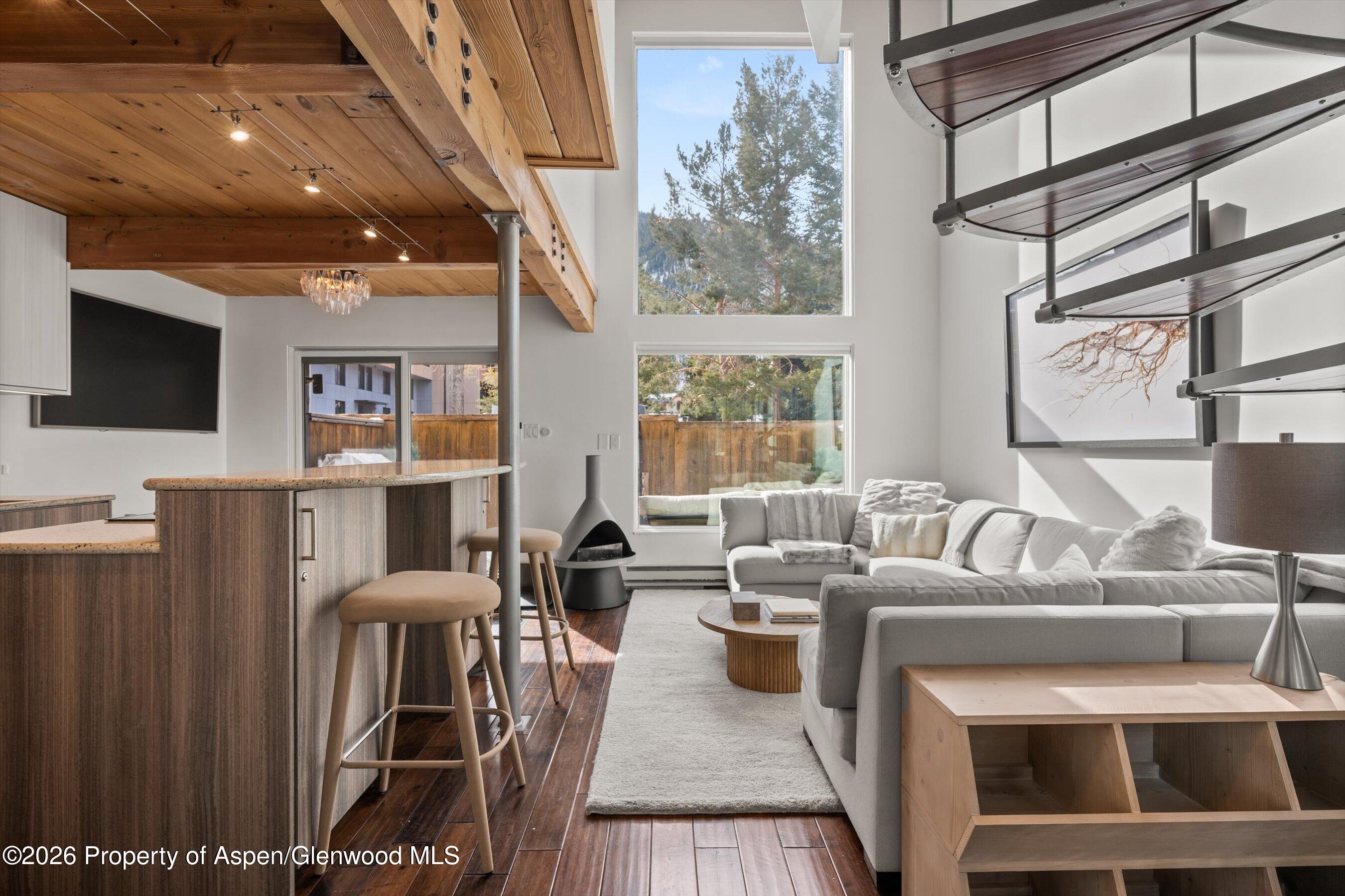 1024 E Cooper Avenue Aspen CO 81611