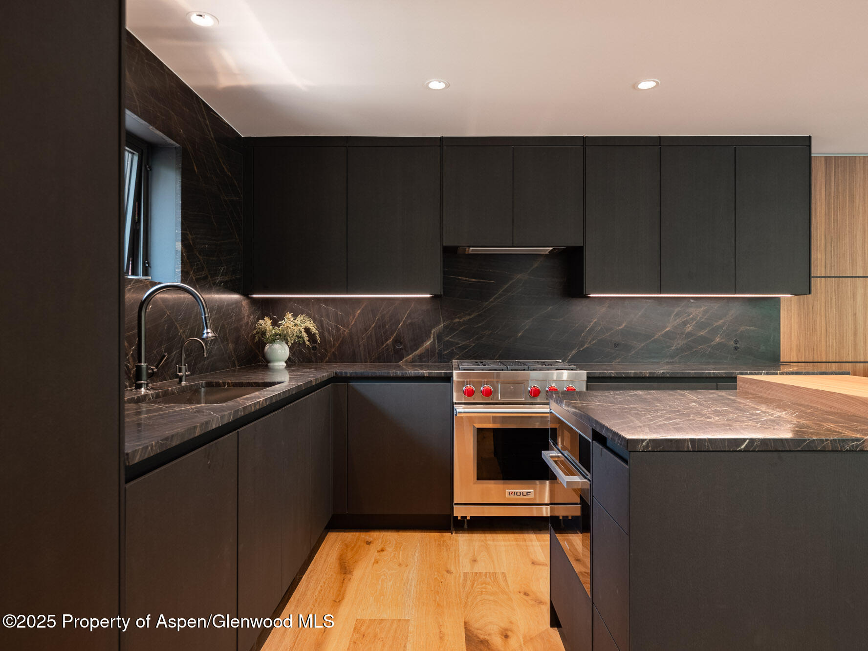 624 E Hopkins Avenue Aspen CO 81611