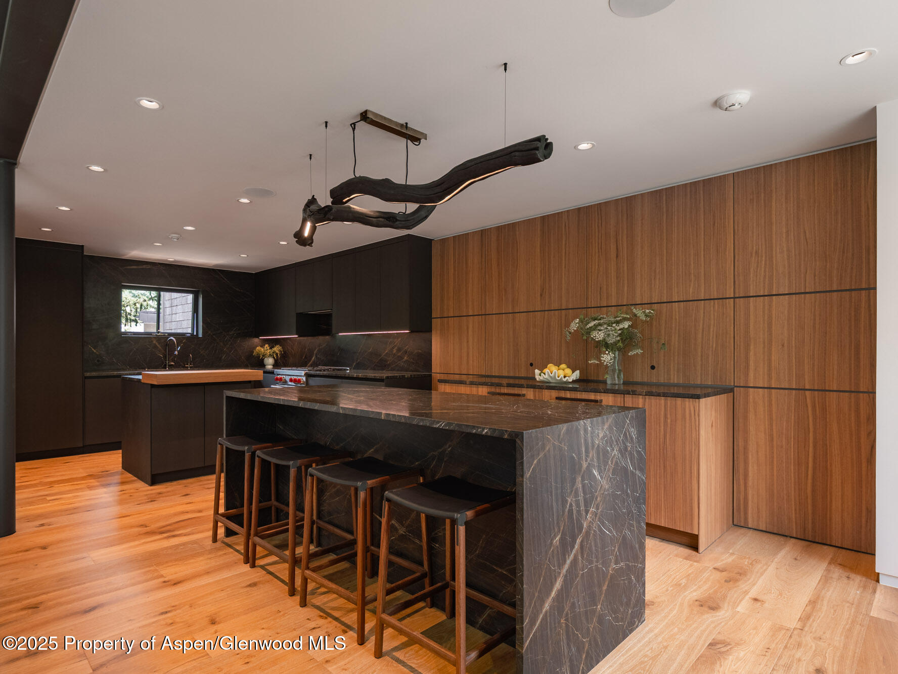 624 E Hopkins Avenue Aspen CO 81611