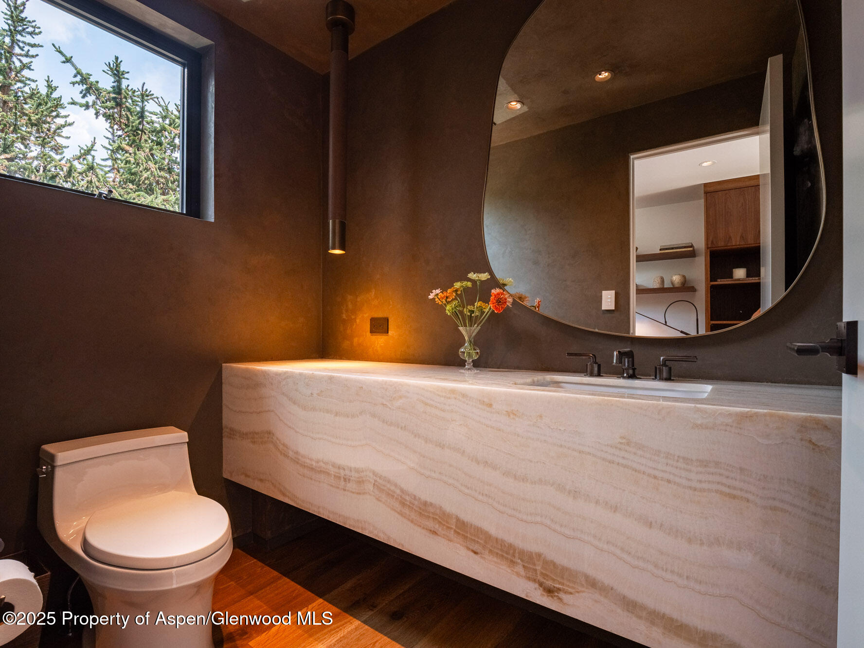 624 E Hopkins Avenue Aspen CO 81611