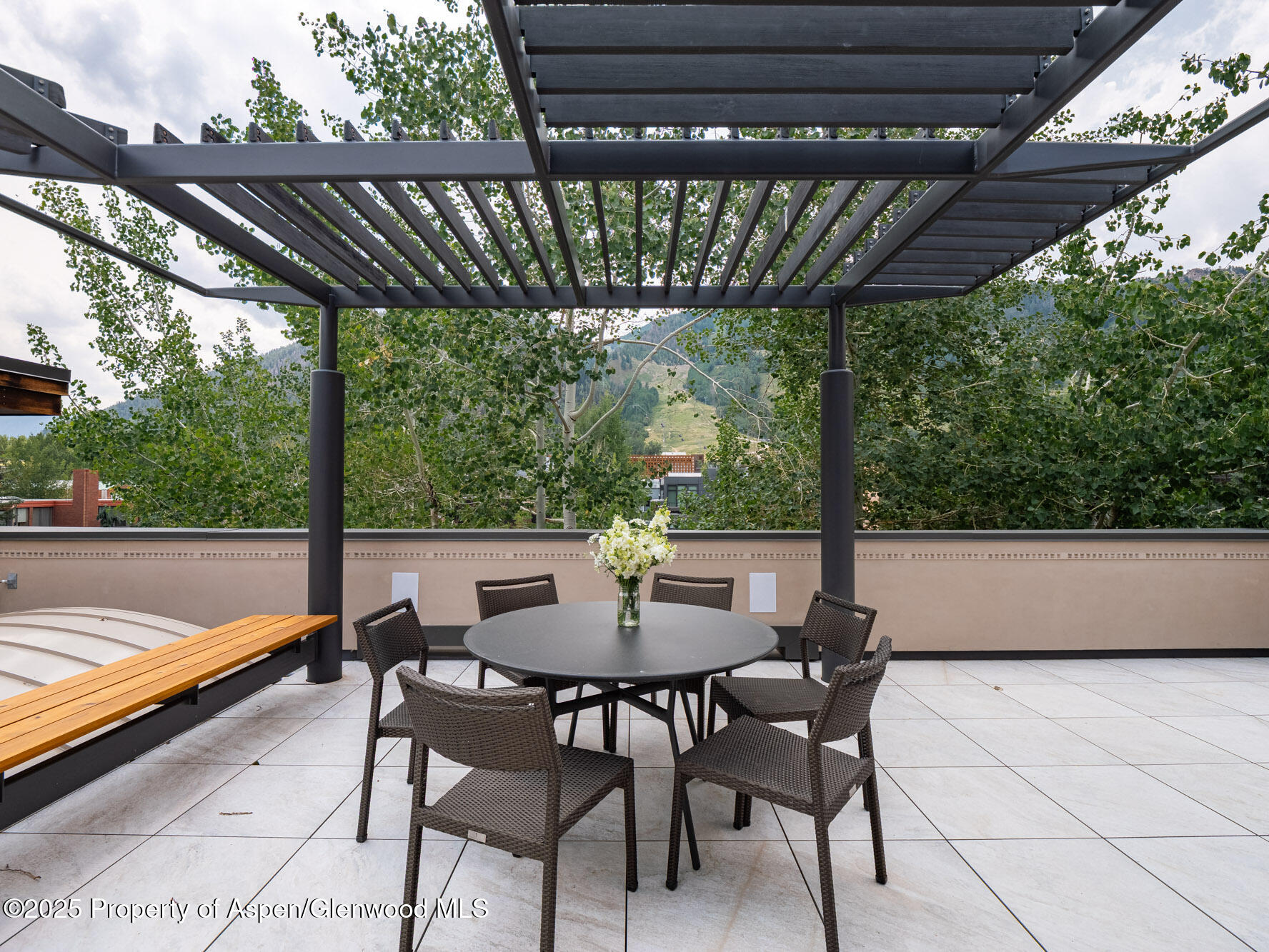 624 E Hopkins Avenue Aspen CO 81611