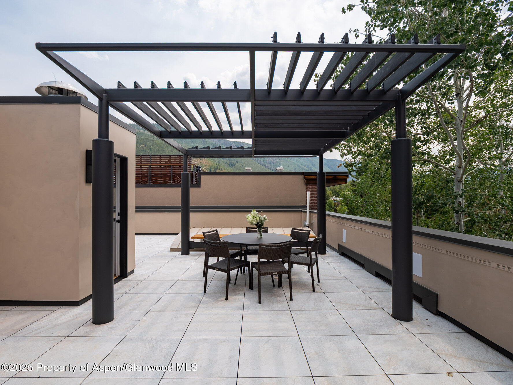 624 E Hopkins Avenue Aspen CO 81611