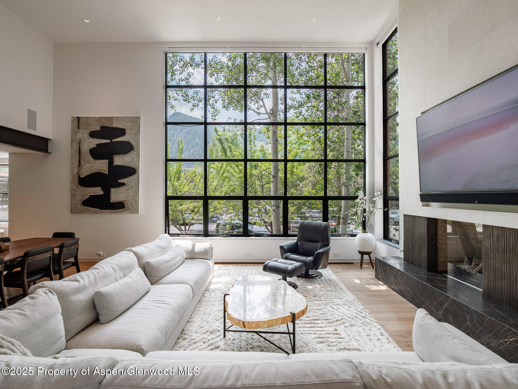 624 E Hopkins Avenue Aspen CO 81611