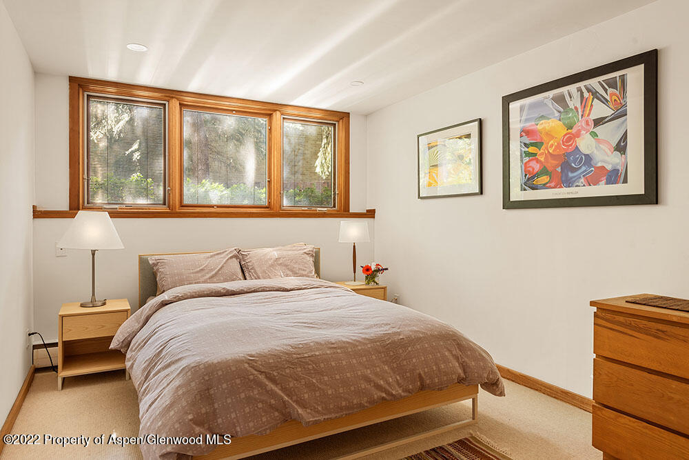 309 W North Street Aspen CO 81611