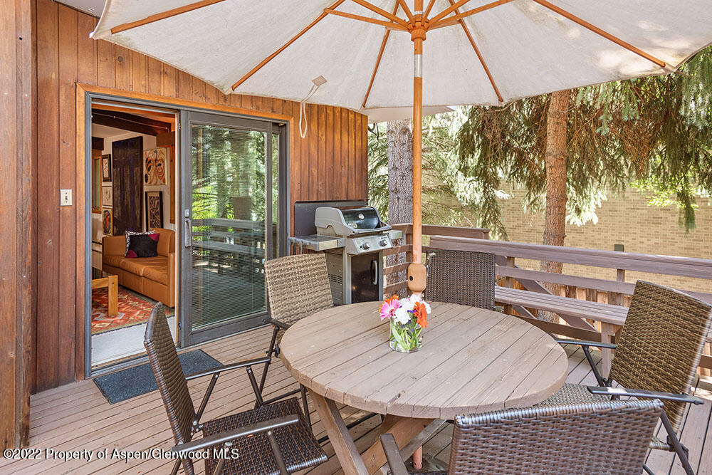 309 W North Street Aspen CO 81611