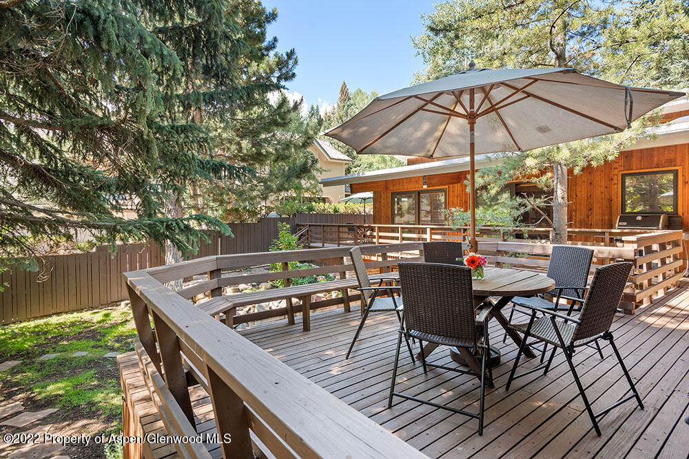 309 W North Street Aspen CO 81611