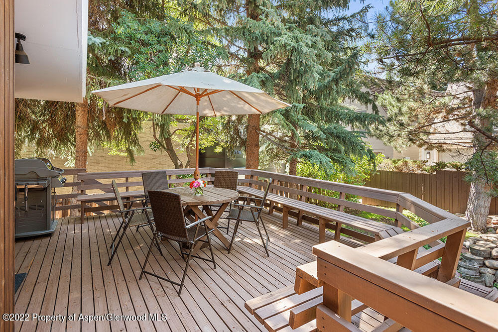 309 W North Street Aspen CO 81611