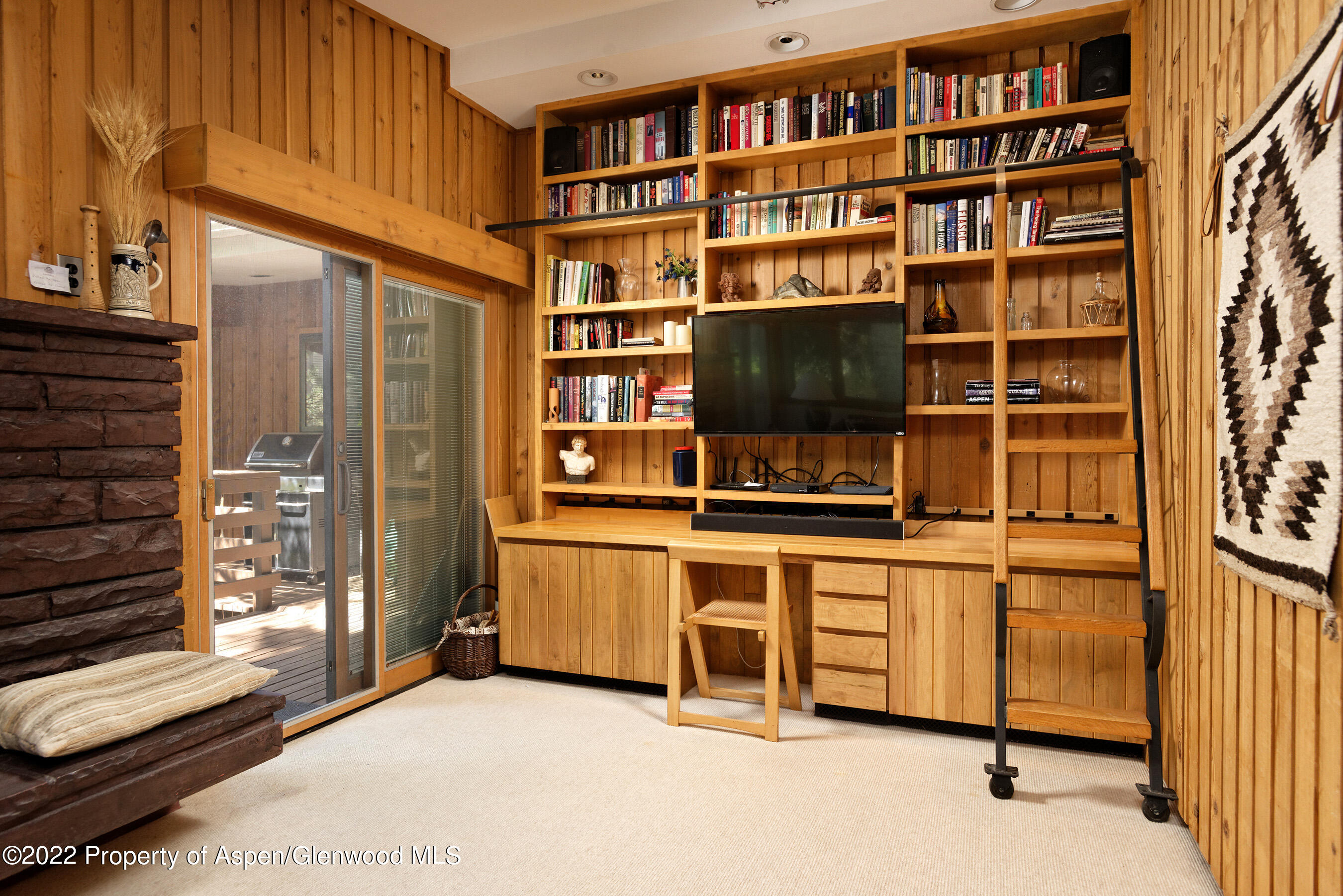 309 W North Street Aspen CO 81611