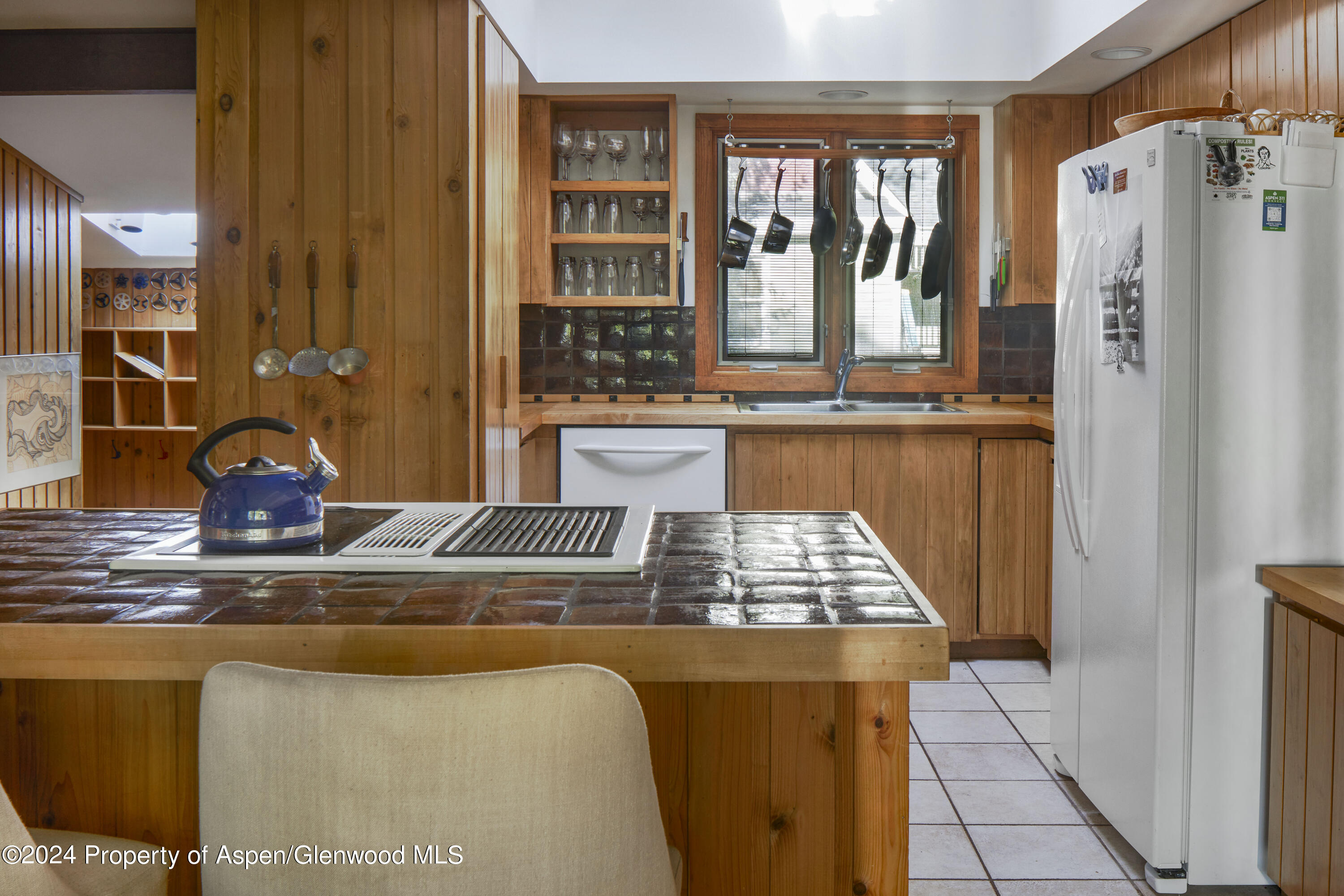 309 W North Street Aspen CO 81611