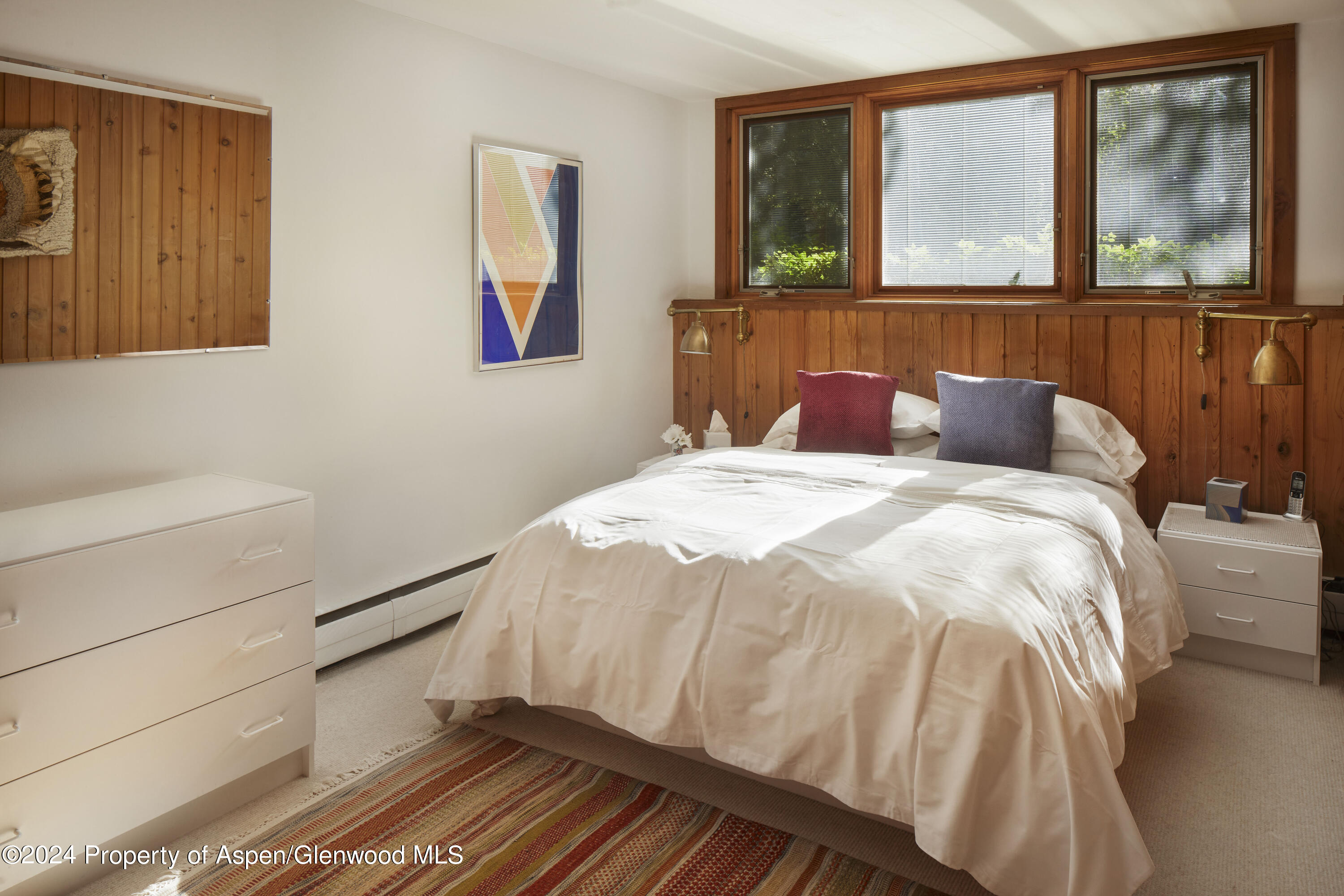 309 W North Street Aspen CO 81611