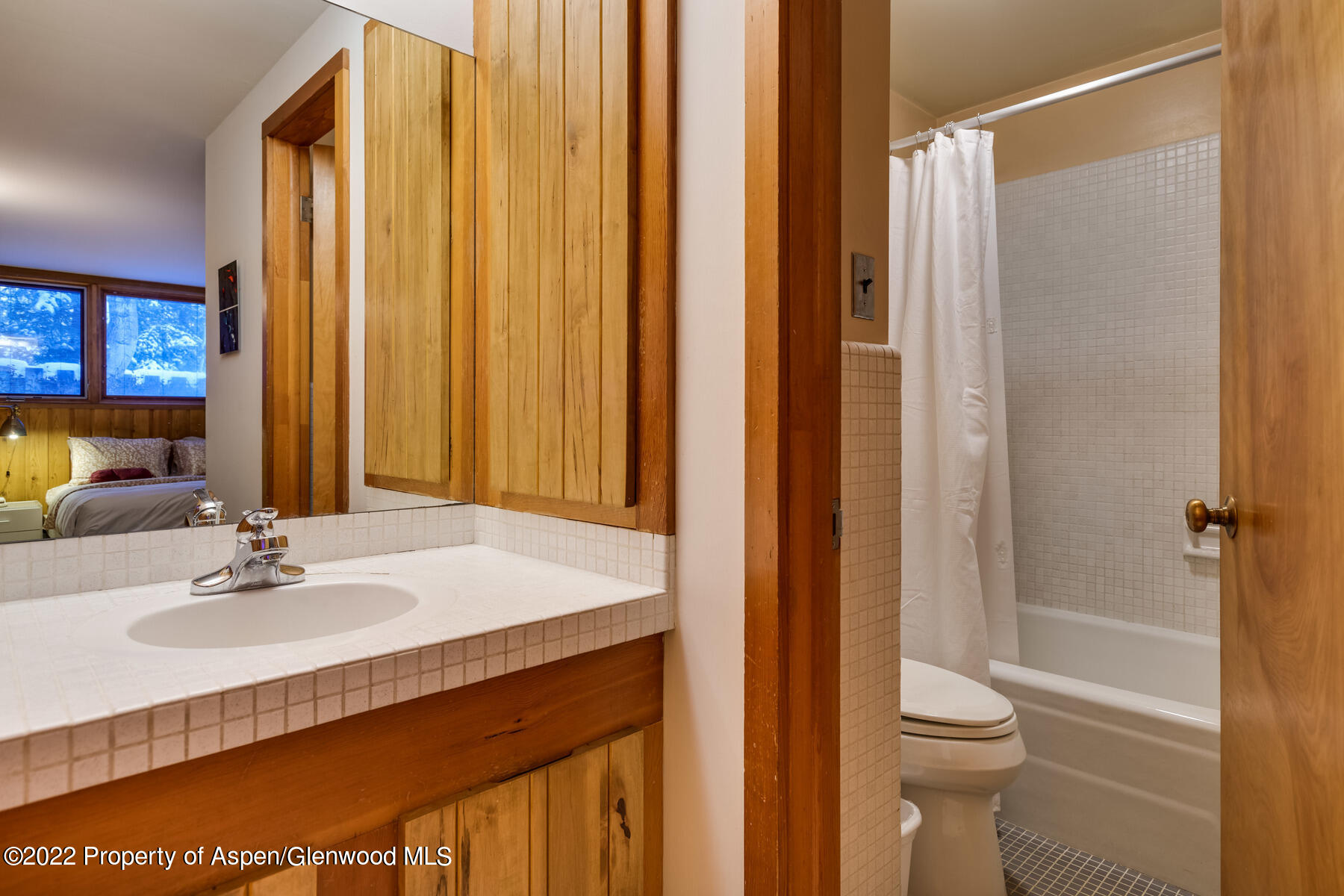 309 W North Street Aspen CO 81611