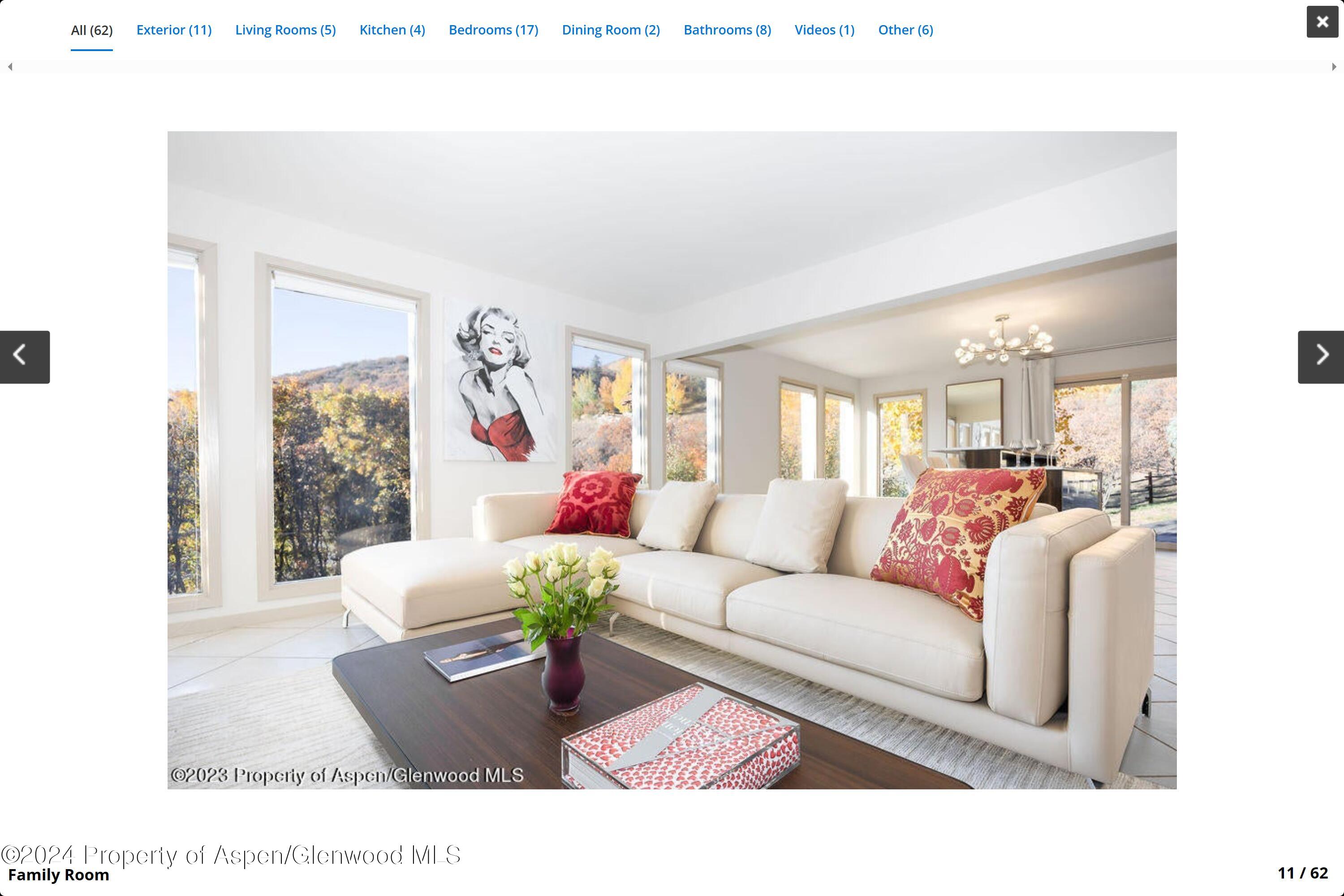 244 Medicine Bow Road Aspen CO 81611