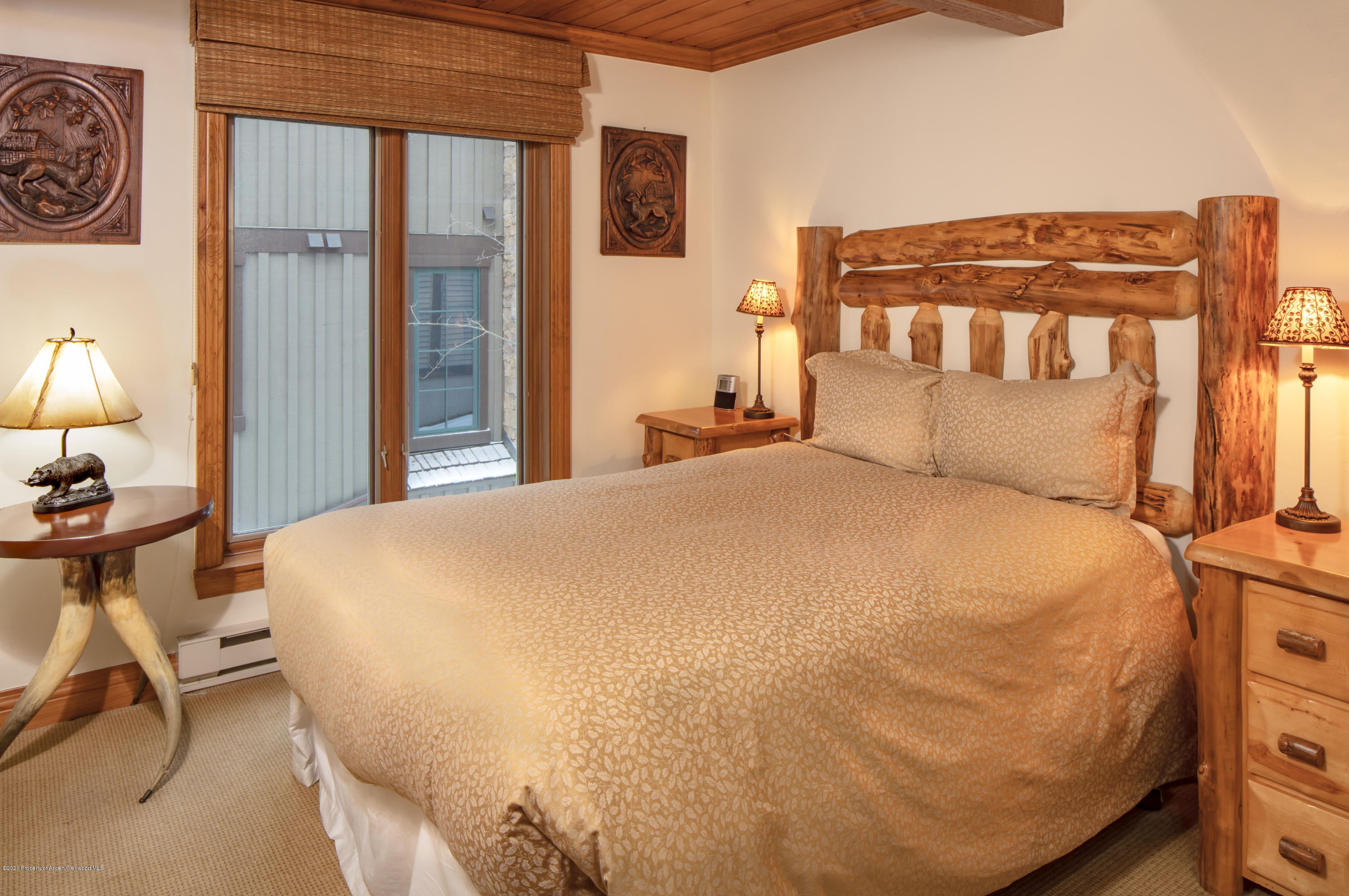 916 E Hopkins Avenue Aspen CO 81611