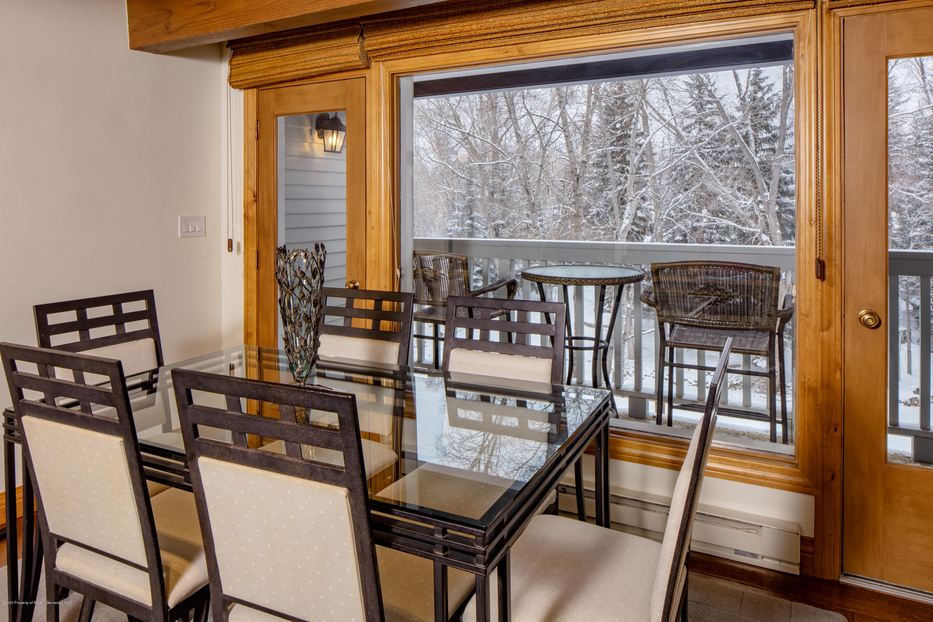 916 E Hopkins Avenue Aspen CO 81611