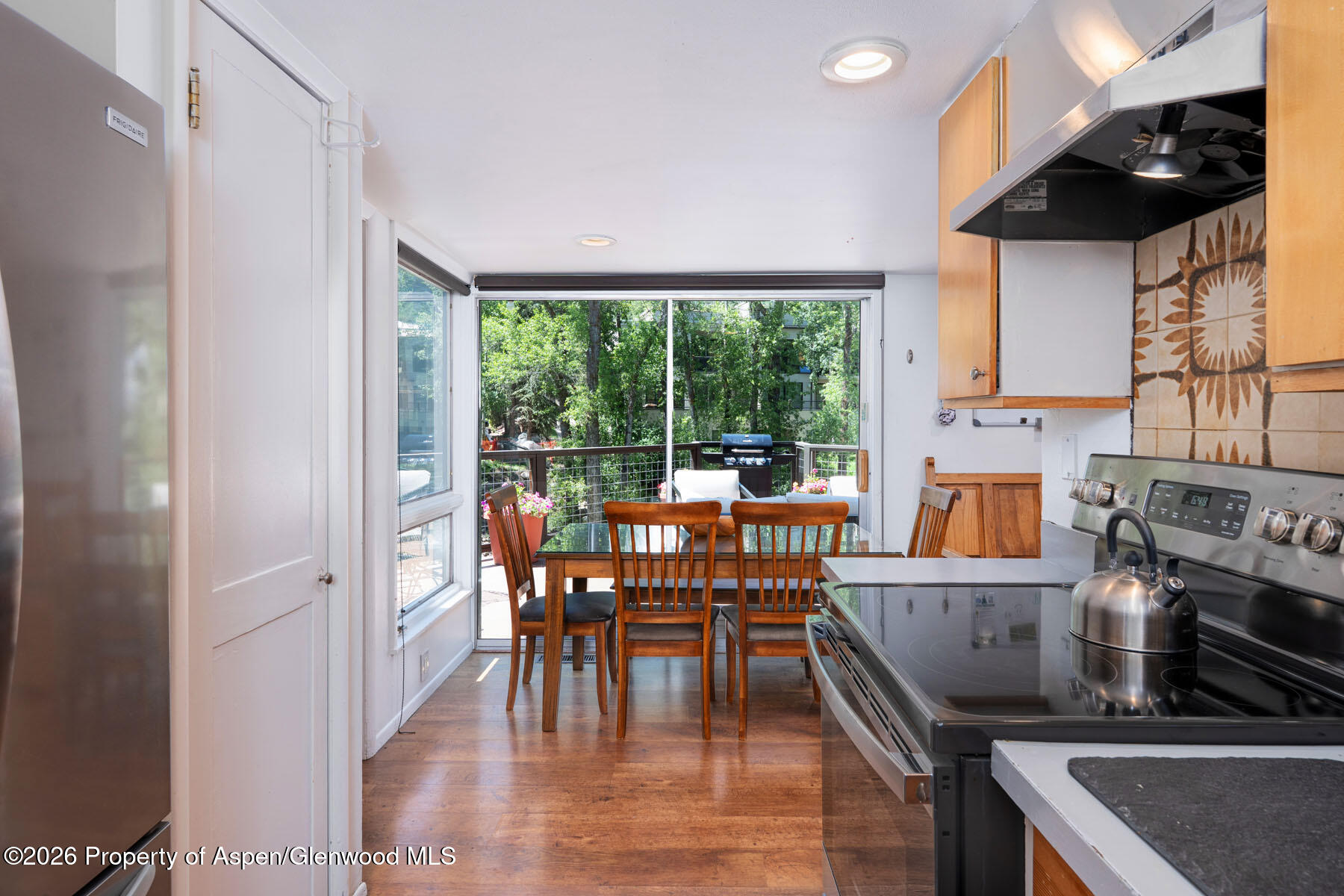 979 Queen Street Aspen CO 81611