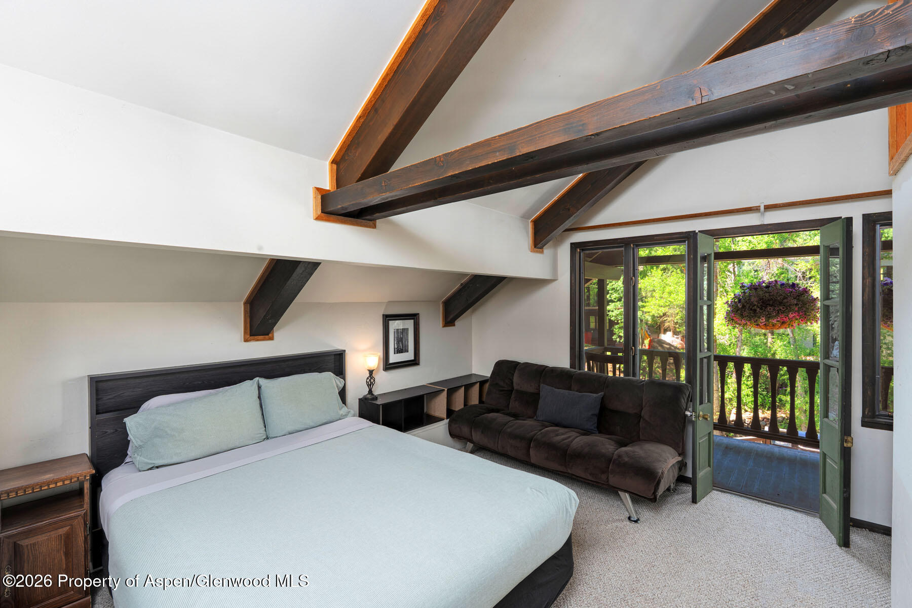 979 Queen Street Aspen CO 81611