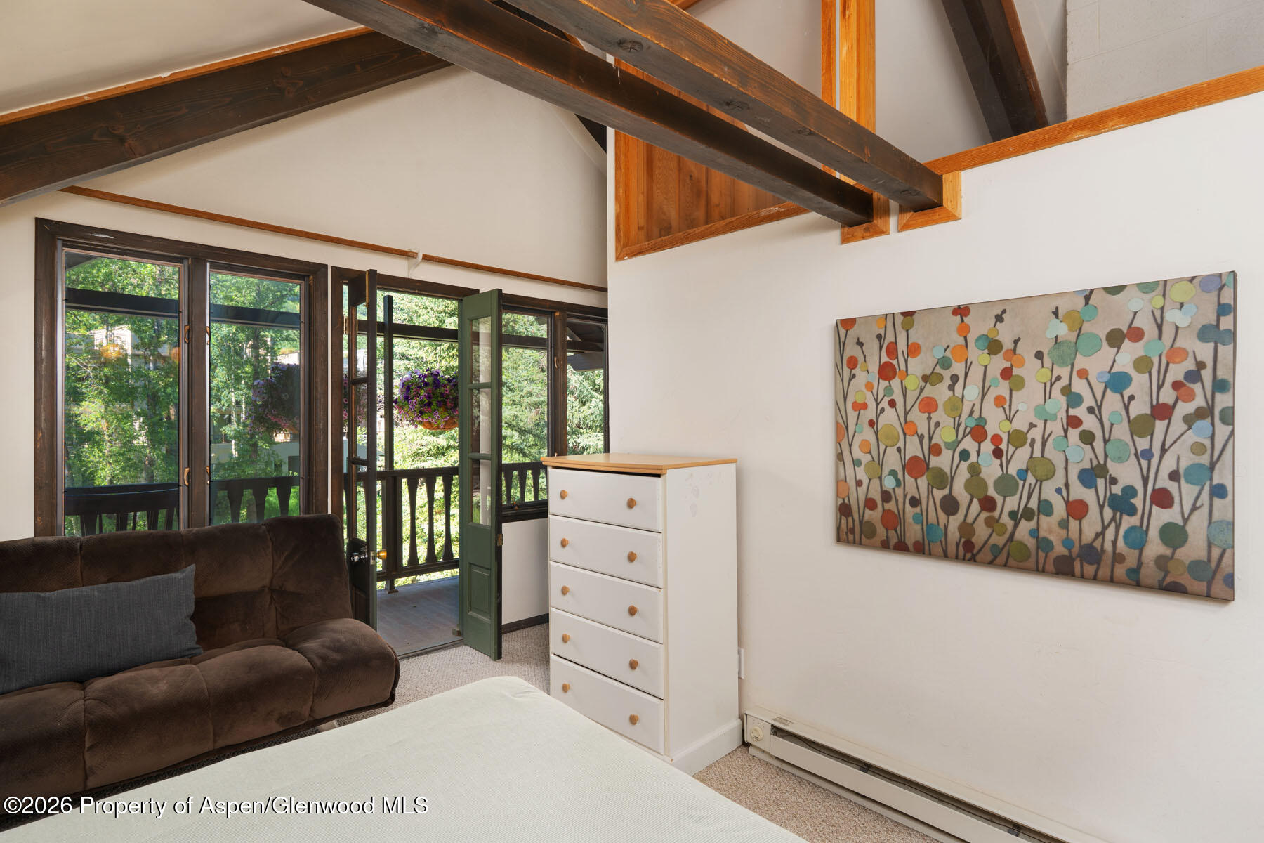 979 Queen Street Aspen CO 81611