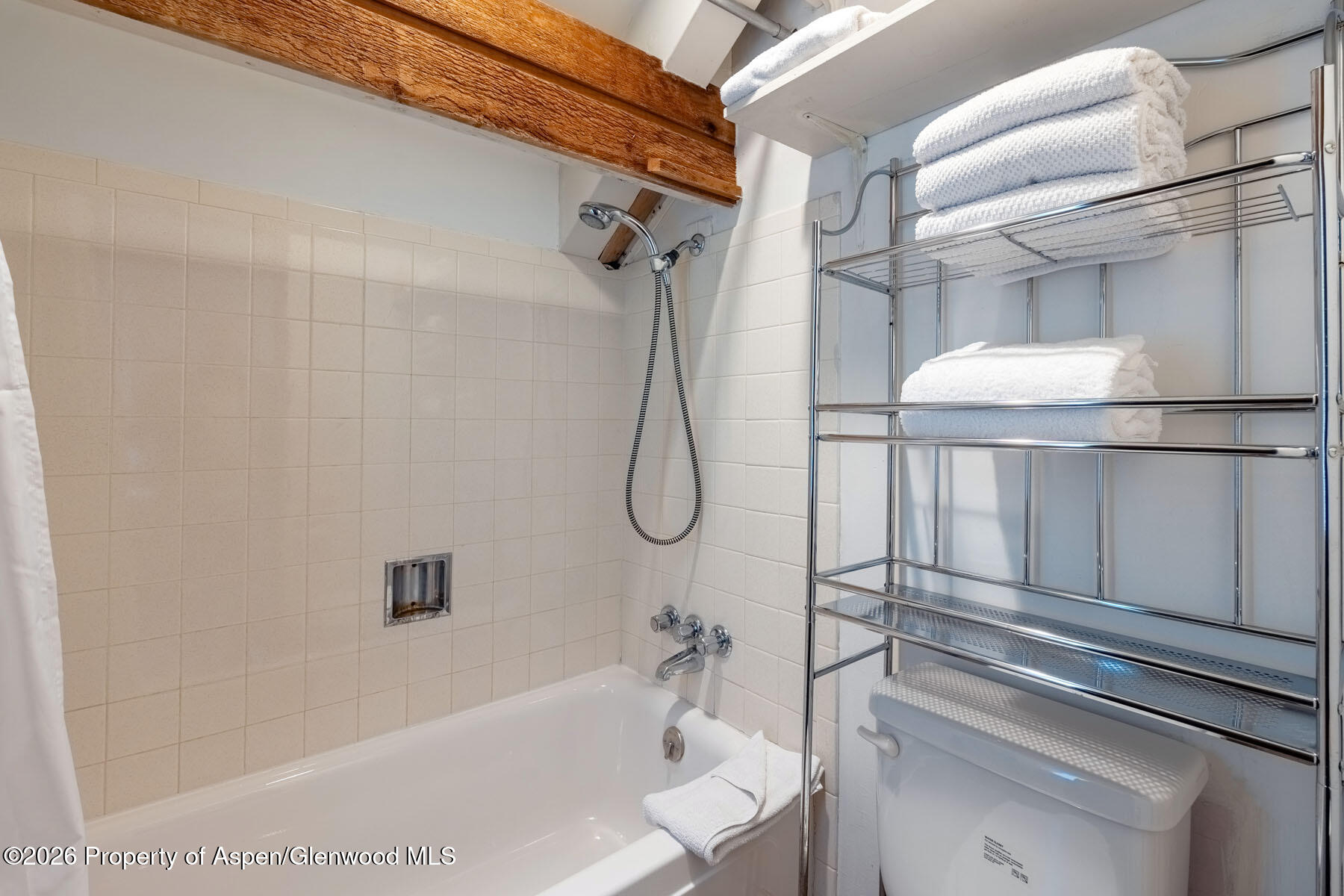 979 Queen Street Aspen CO 81611