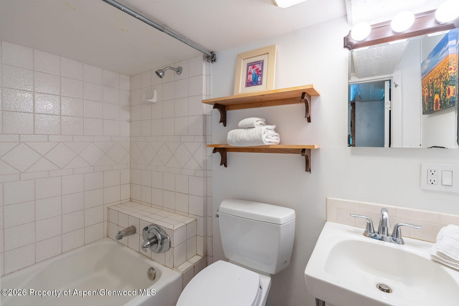 979 Queen Street Aspen CO 81611