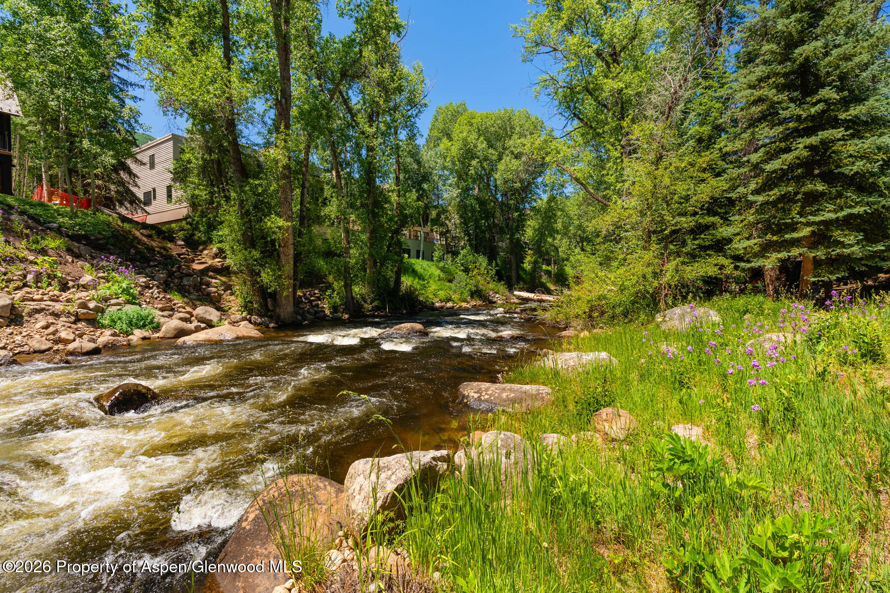 979 Queen Street Aspen CO 81611