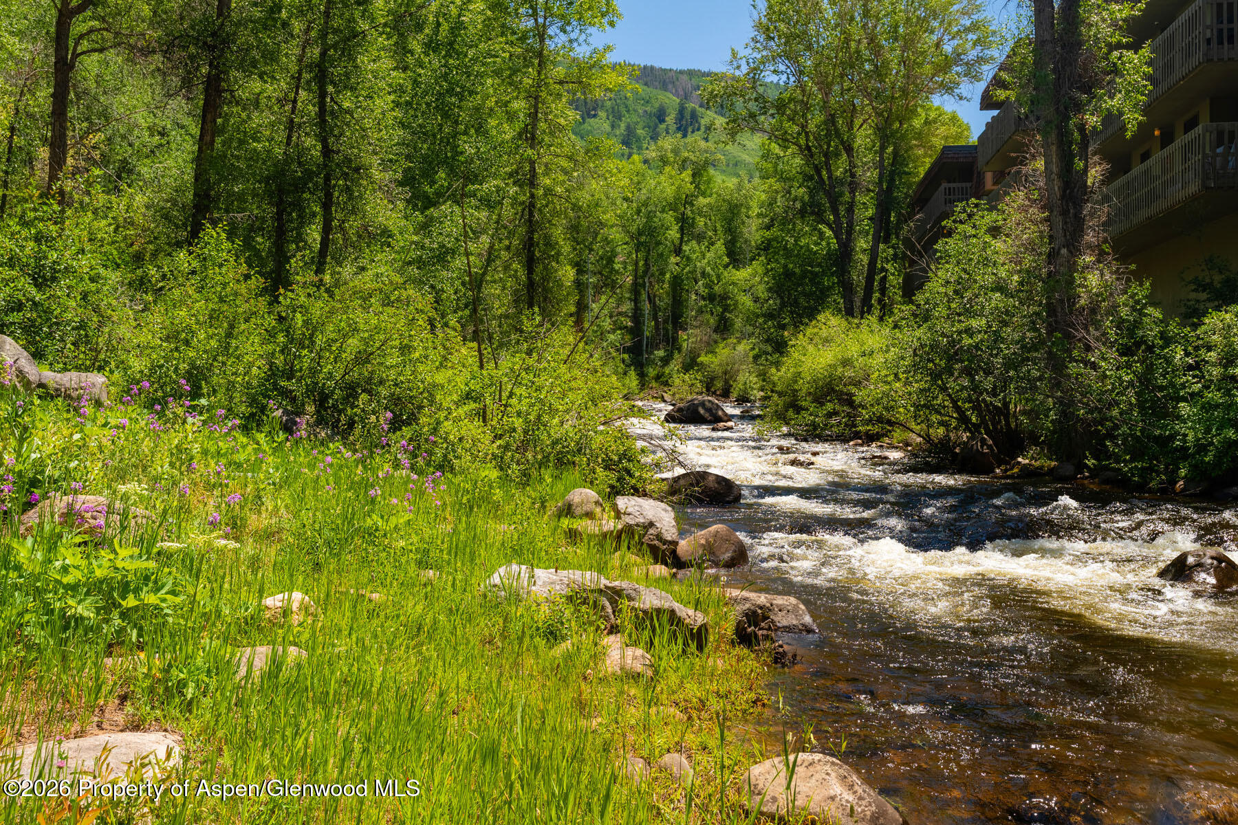 979 Queen Street Aspen CO 81611